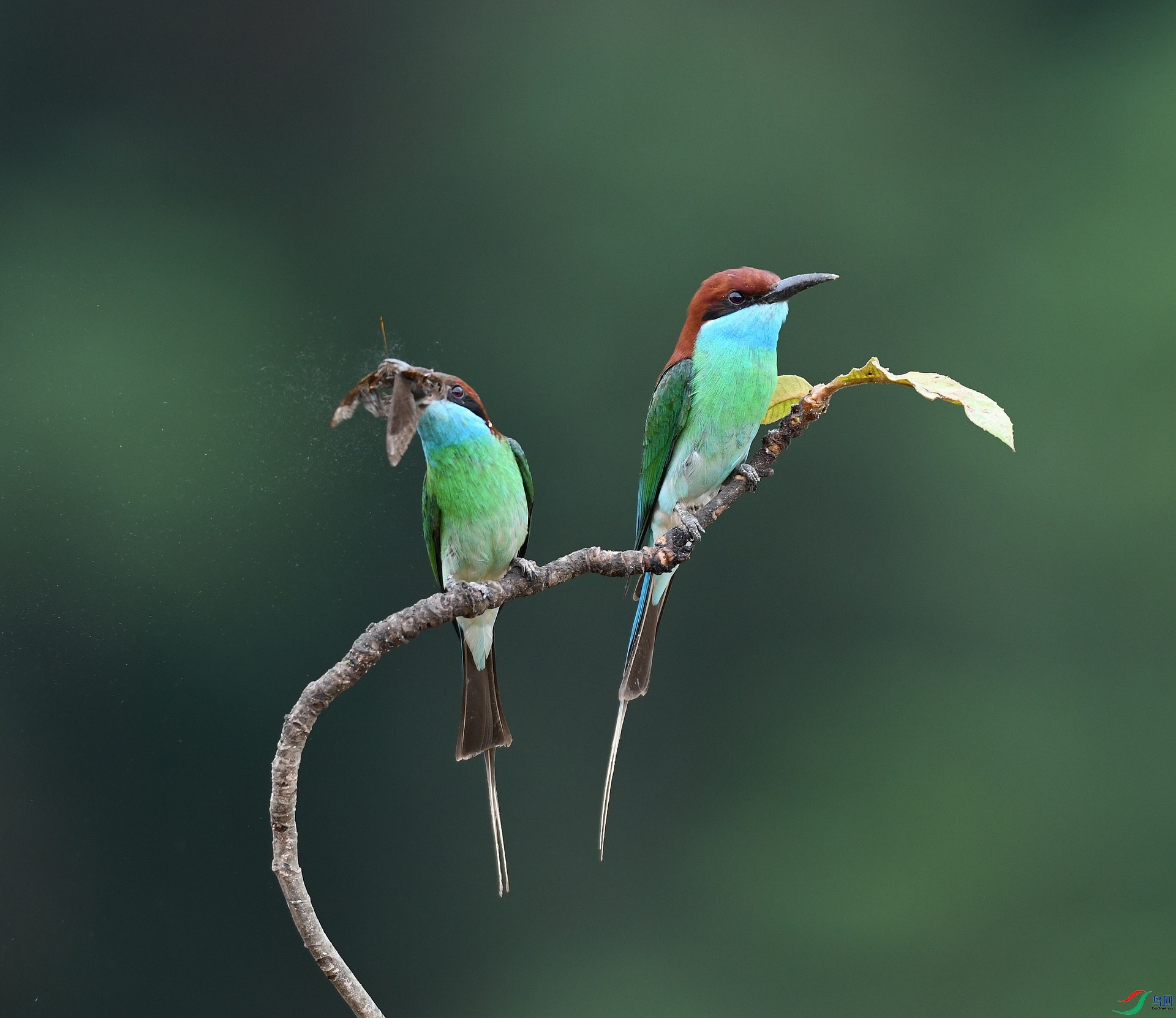 DSC_4457.jpg