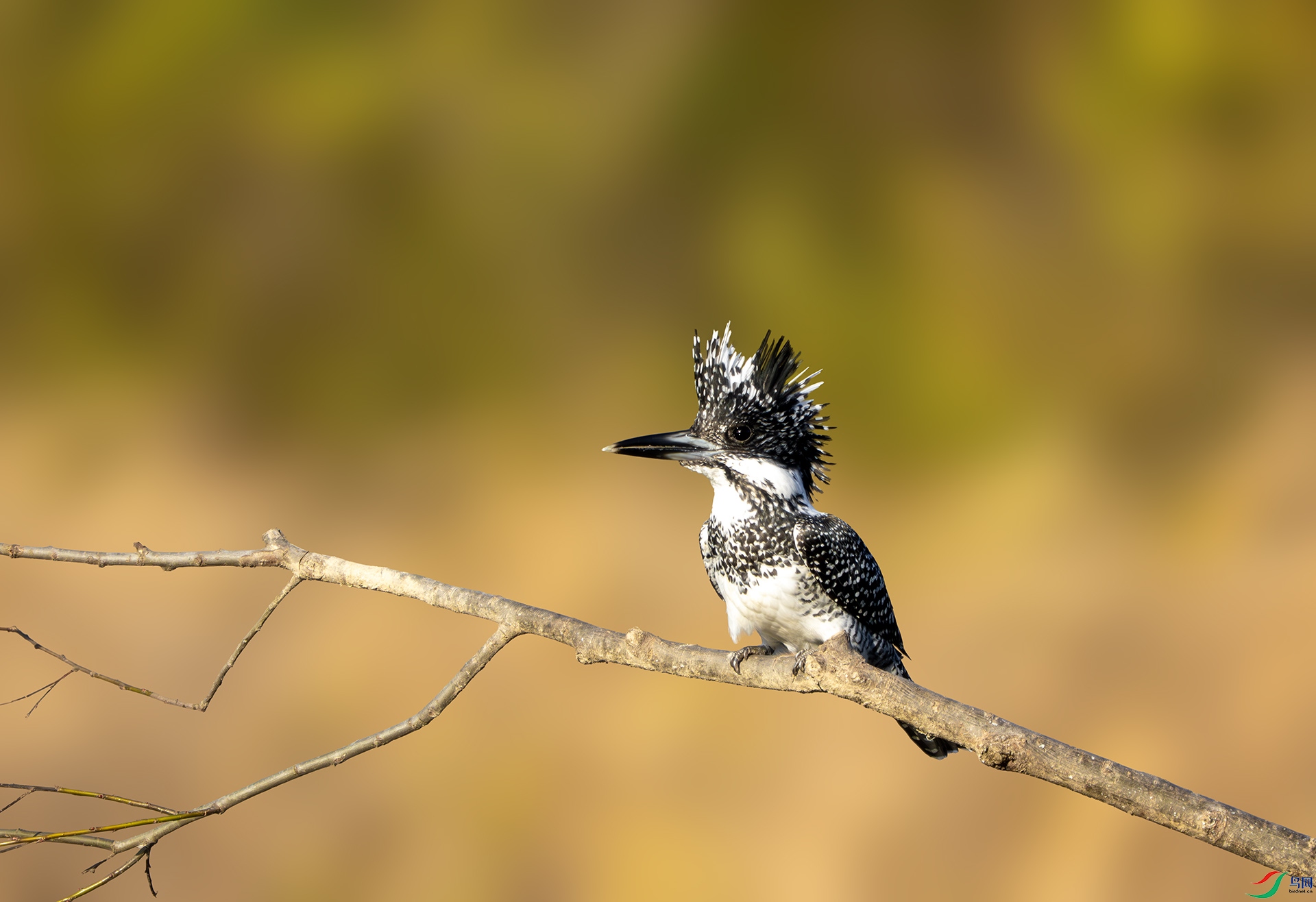 DSC06798-����ǿ-NR ����.jpg