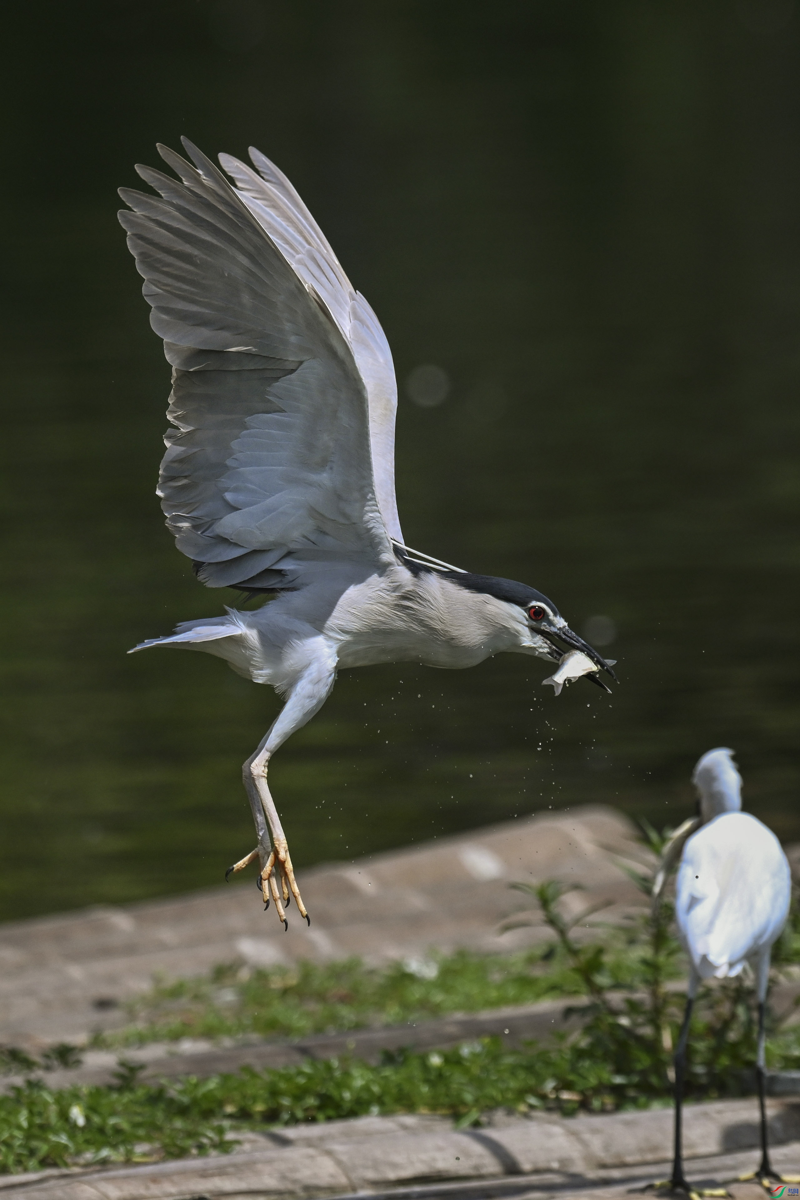DSC_0028.jpg
