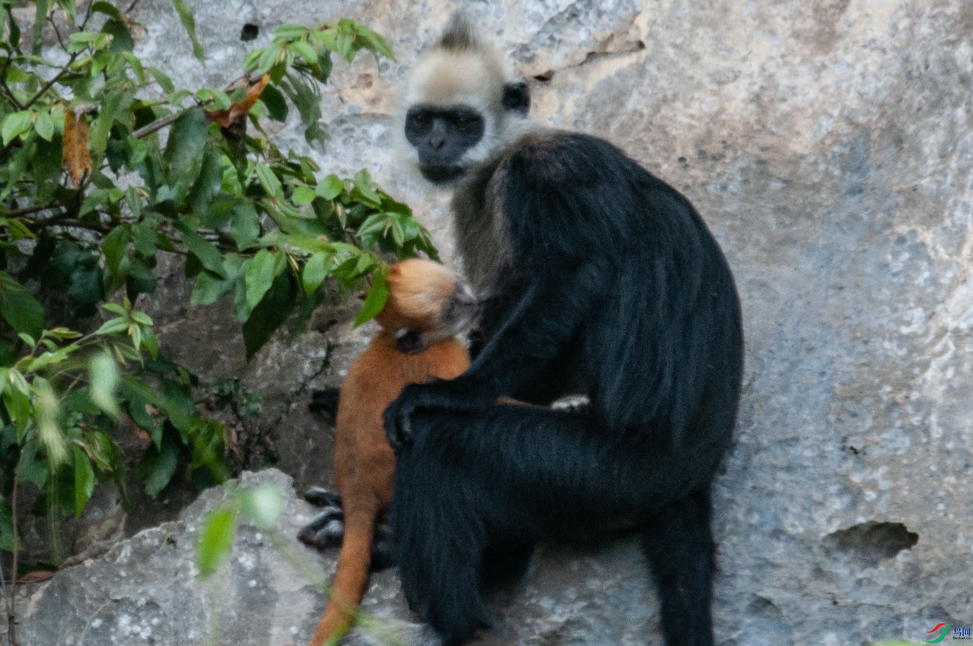 DSC_1308.jpg