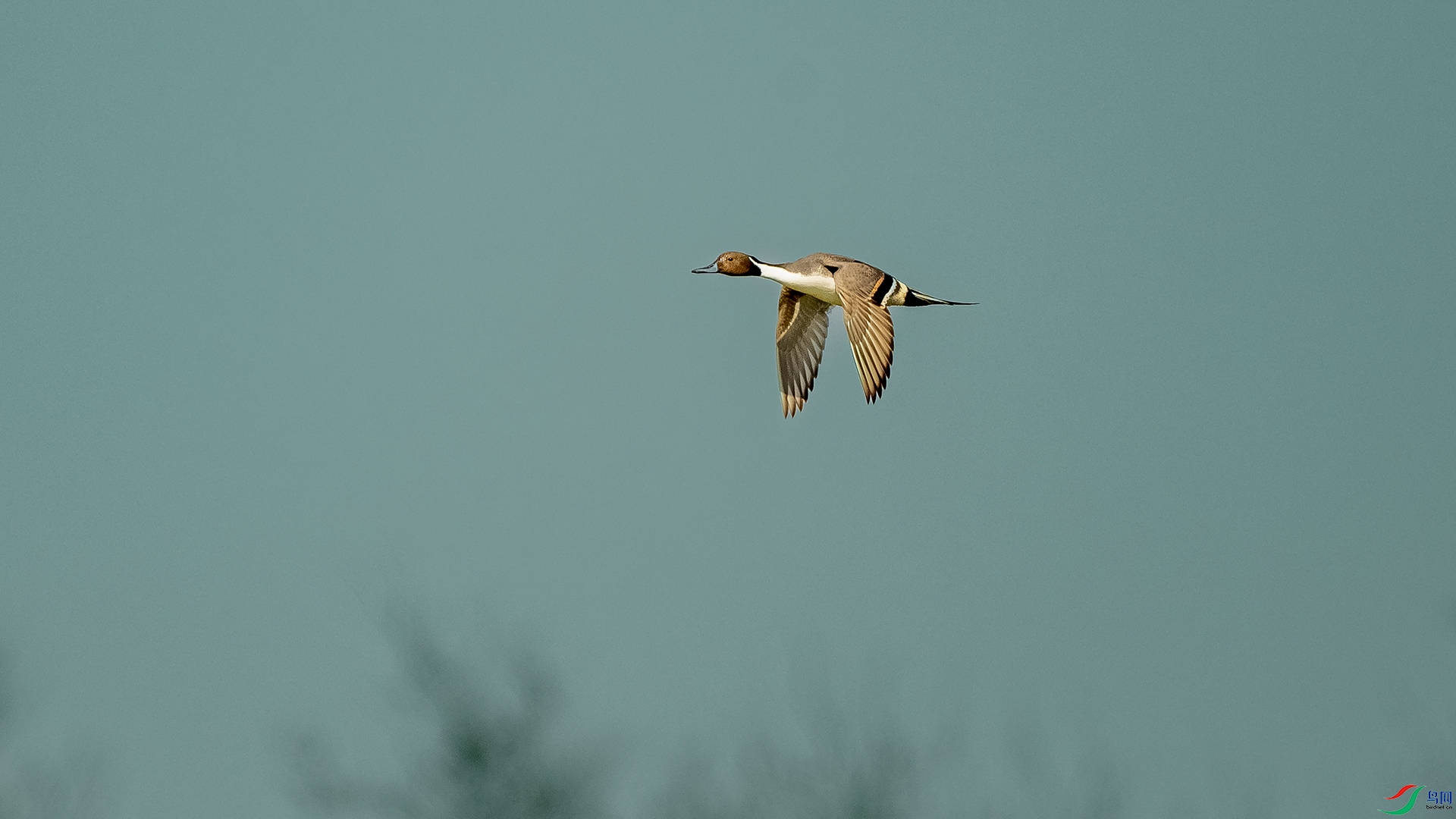DSC_0717.jpg