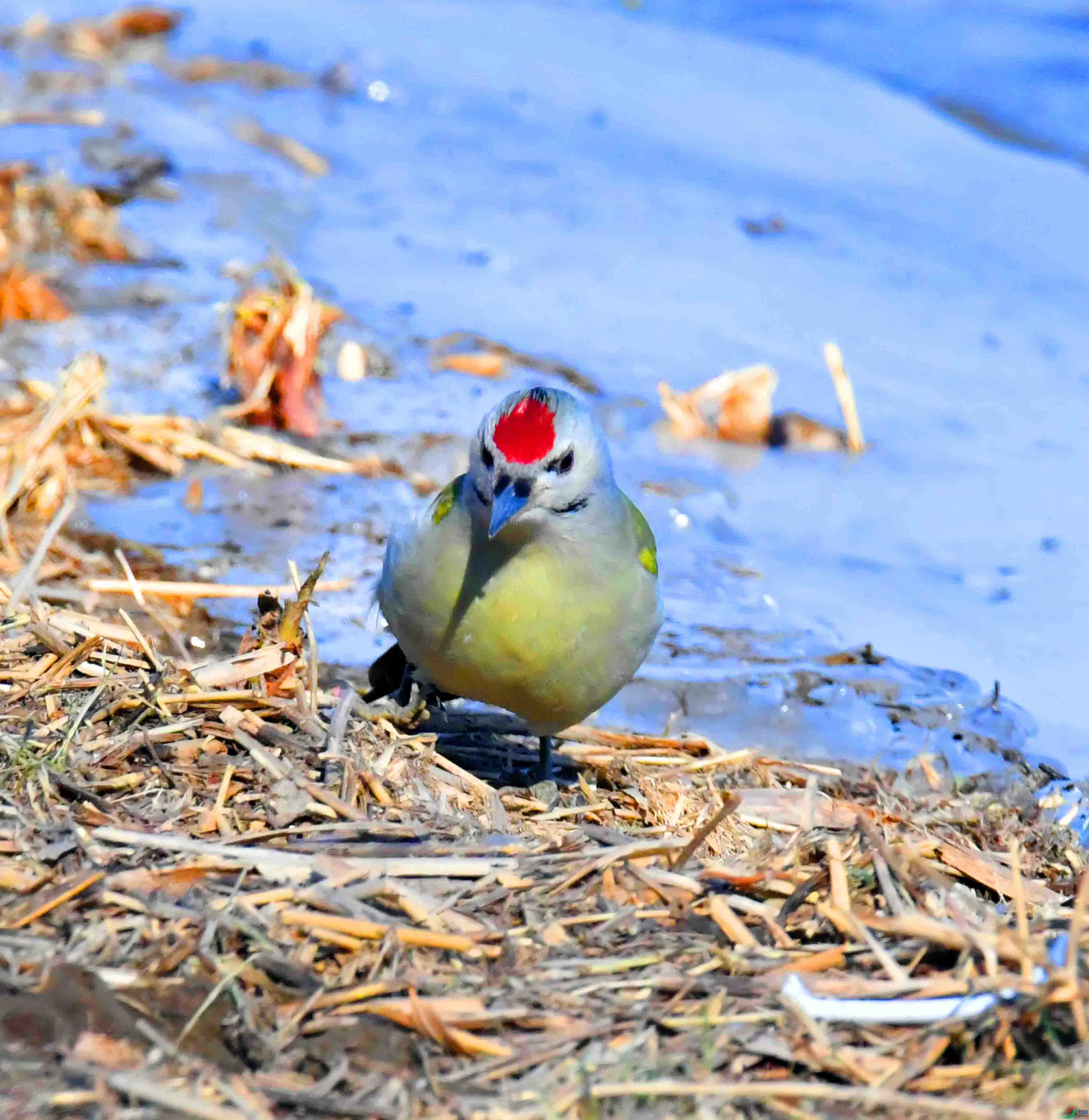 DSC_1631.JPG