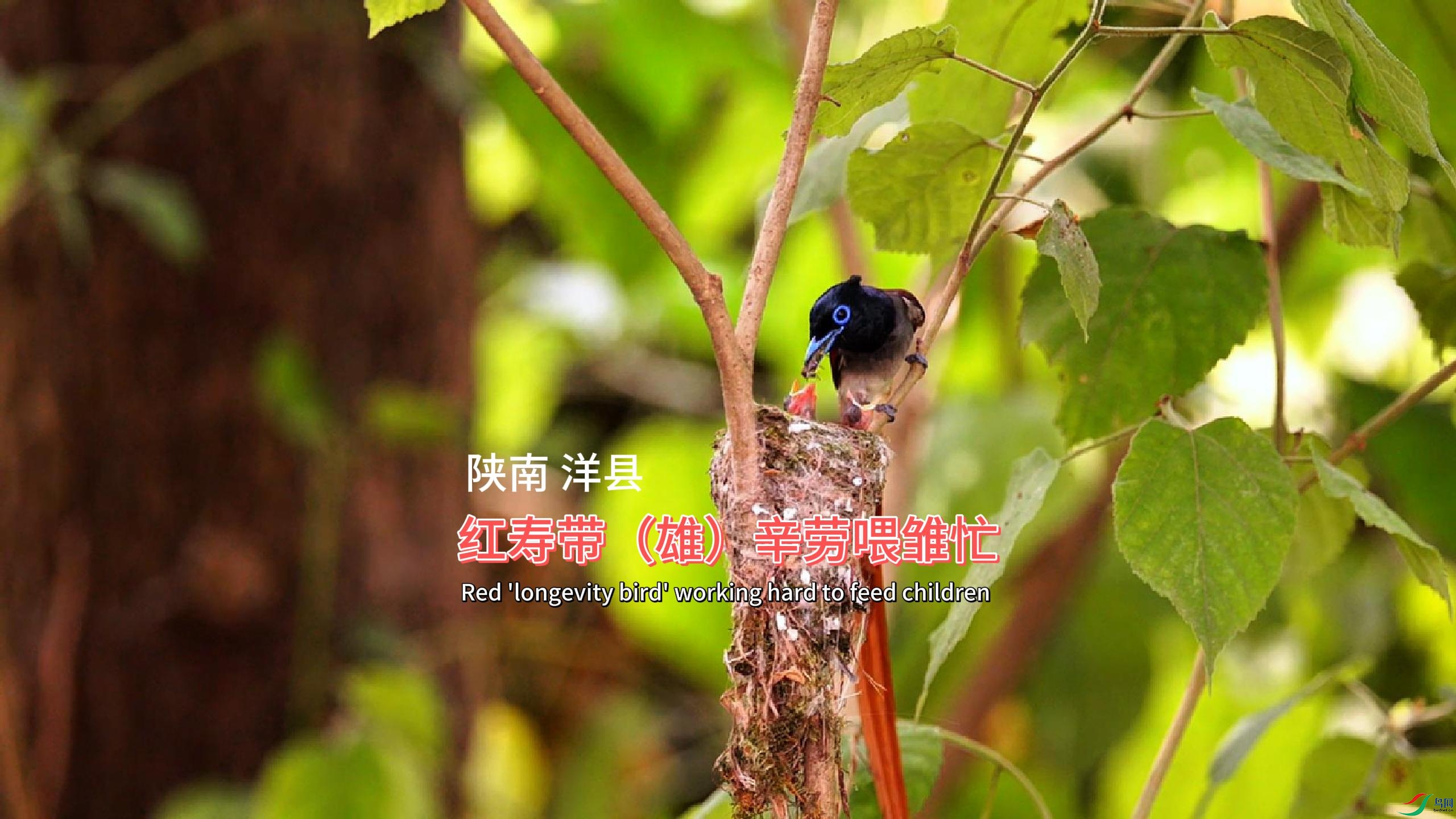 ���� ���� ���ٴ����ۣ�����ι��æ-����.jpg