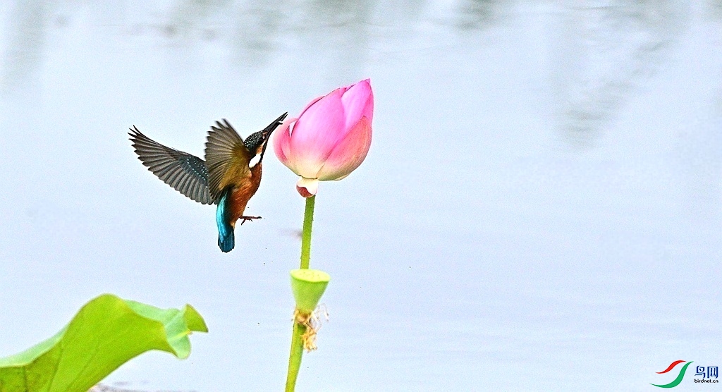 DSC_9204.JPG