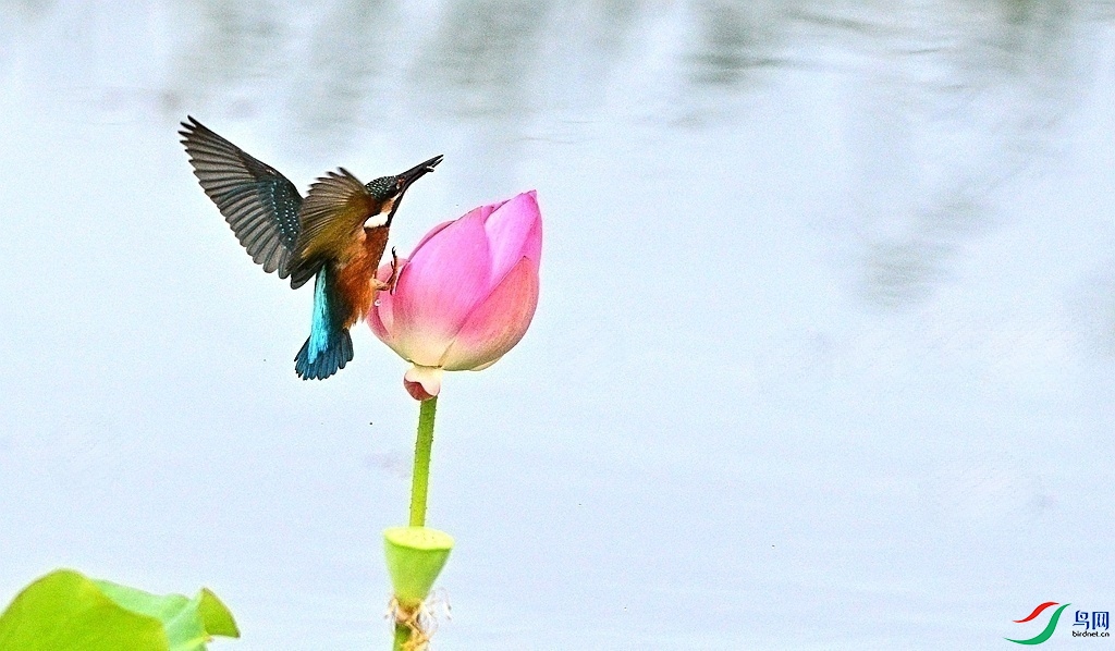 DSC_9205.JPG
