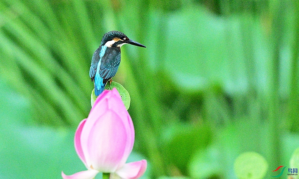 DSC_1228.JPG