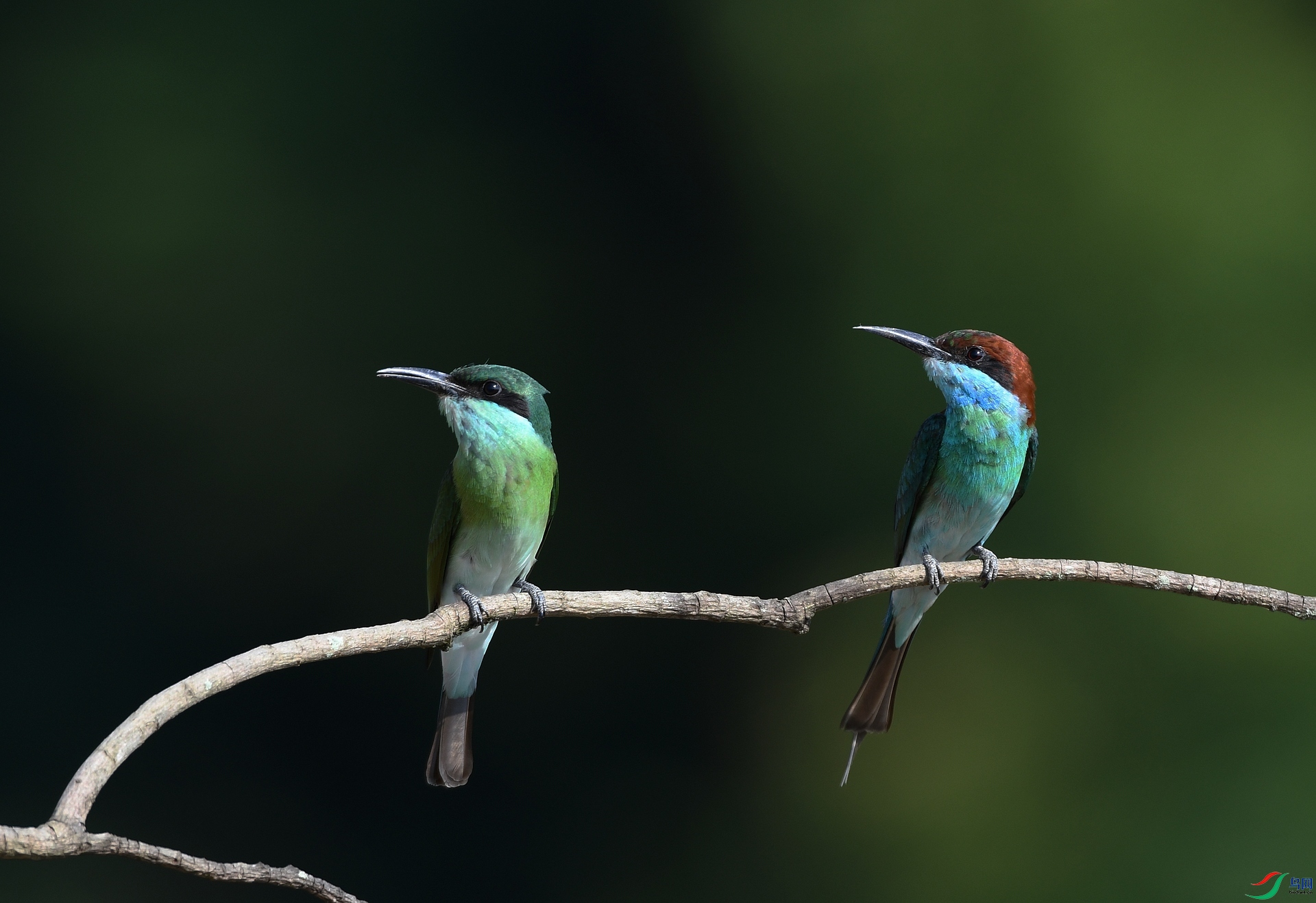 DSC_2784.jpg