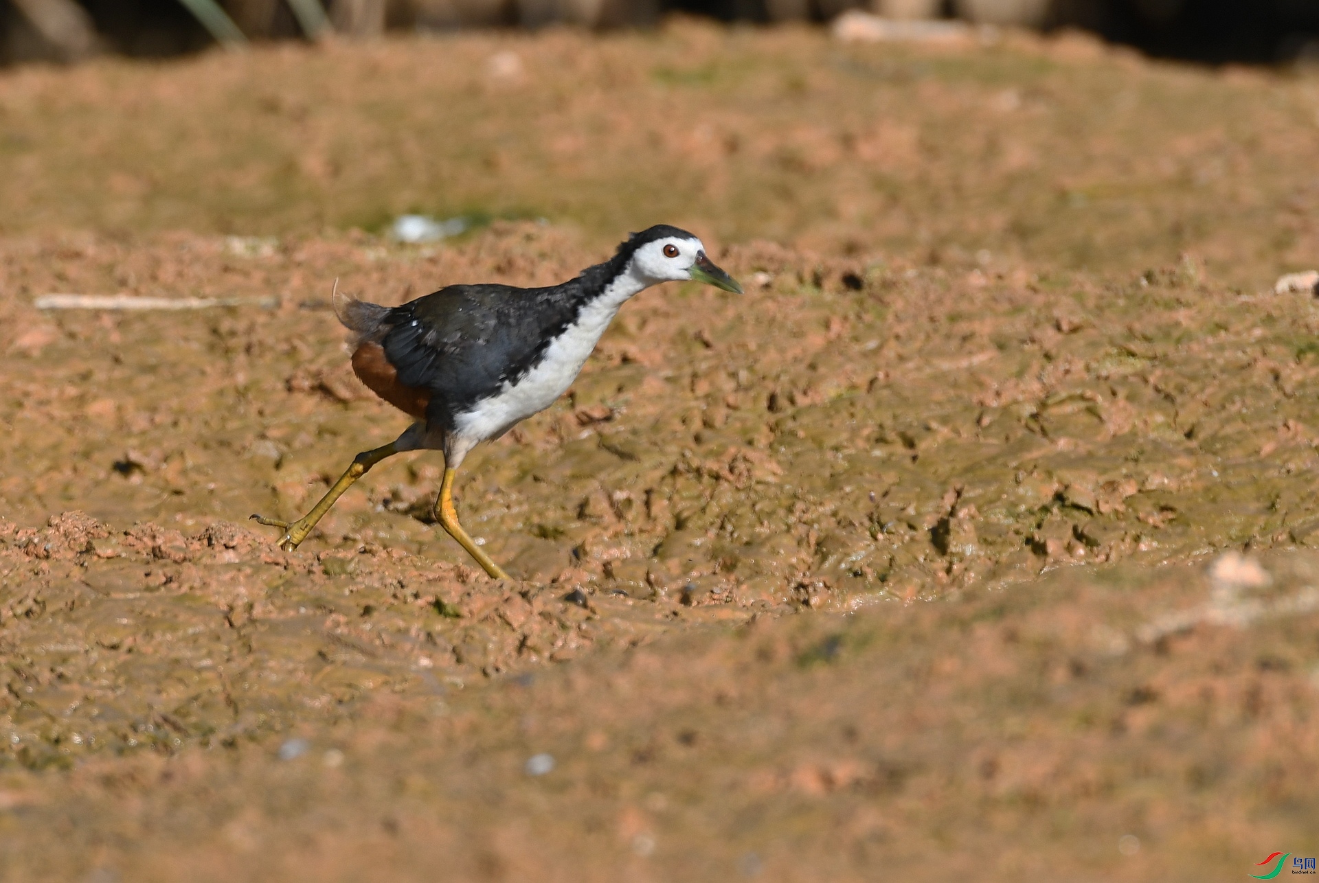 DSC_5046.jpg
