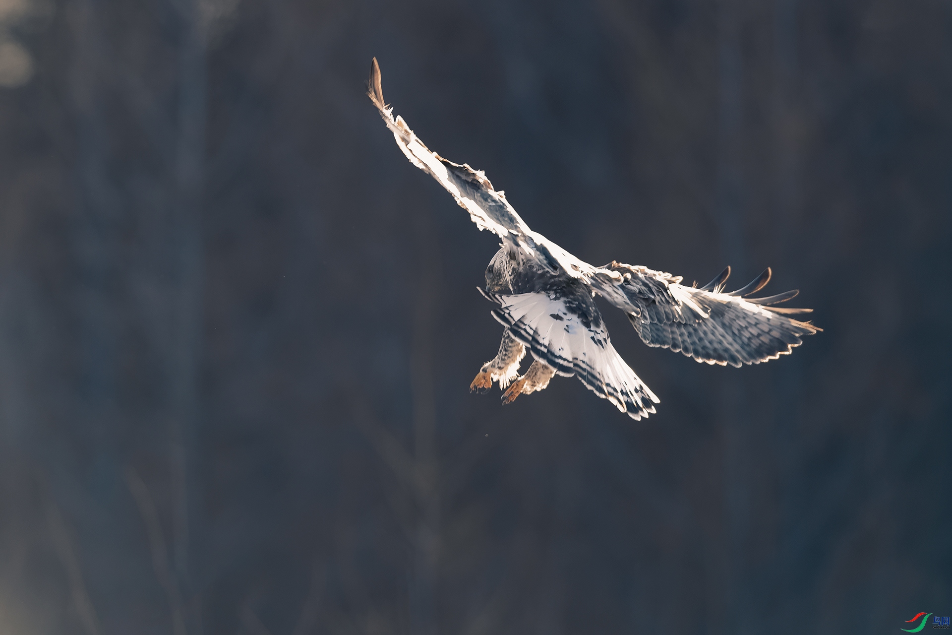 DSC_4224_DxOa.jpg
