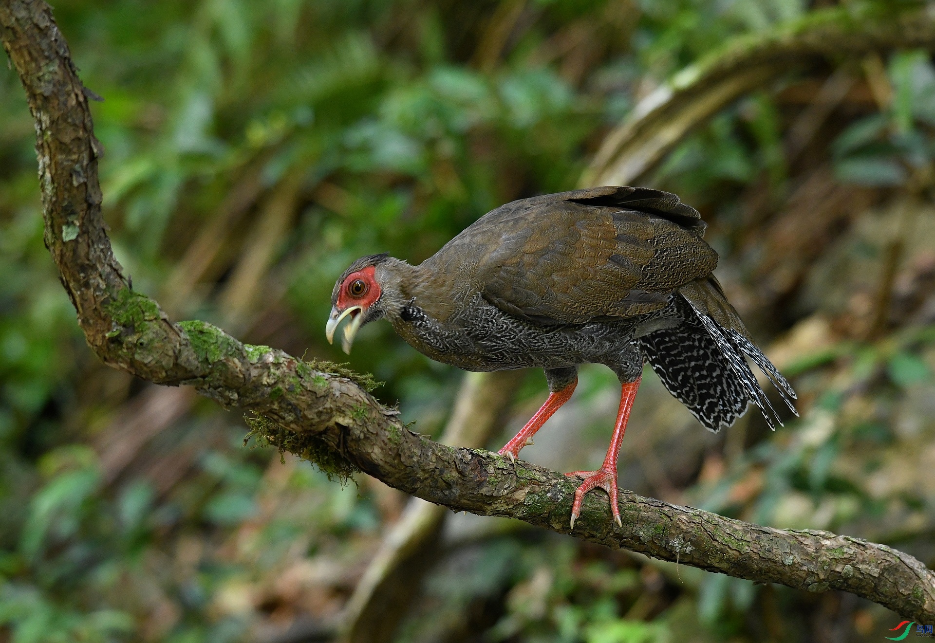 DSC_4560.jpg