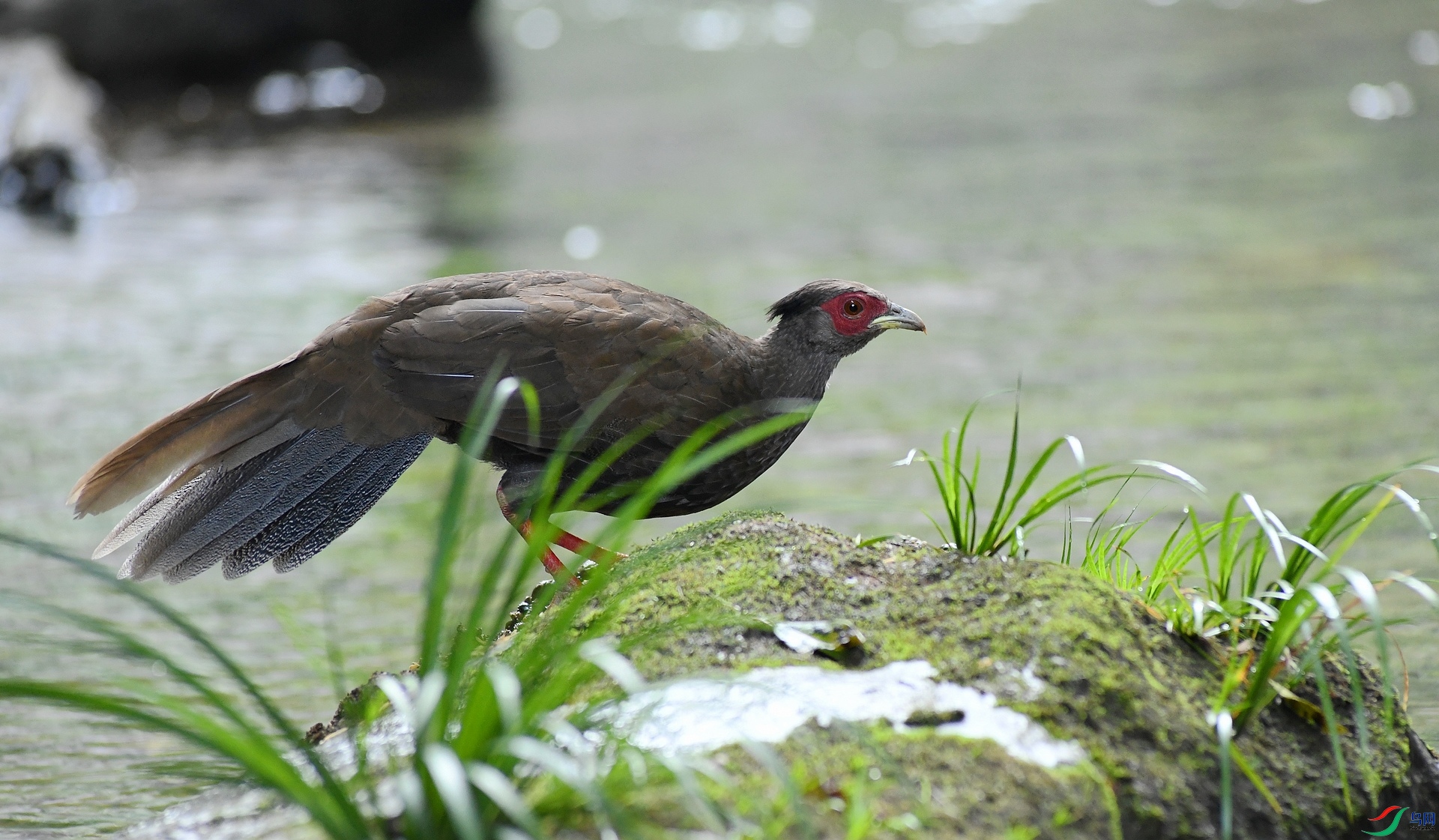 DSC_6010.jpg