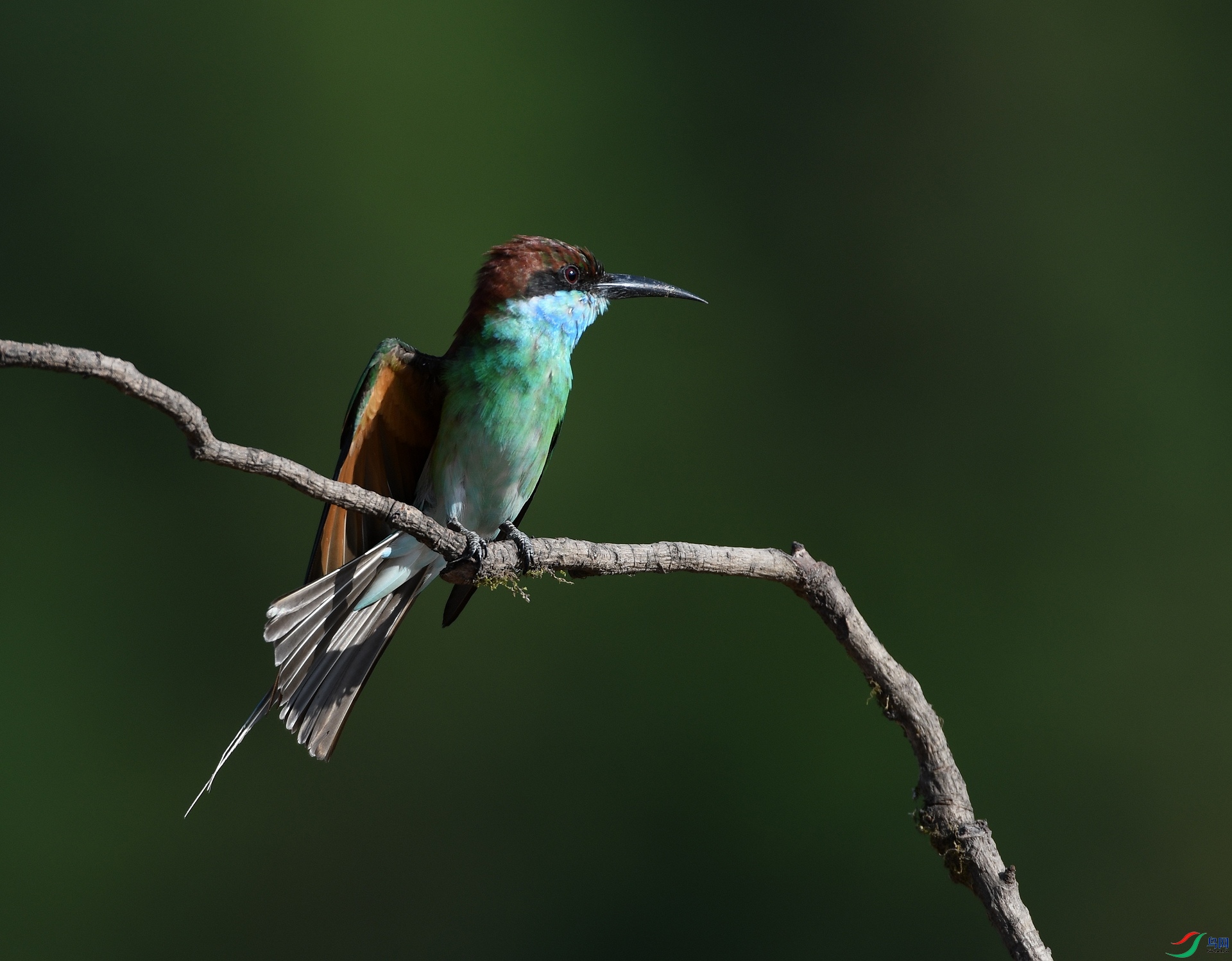 DSC_4736.jpg