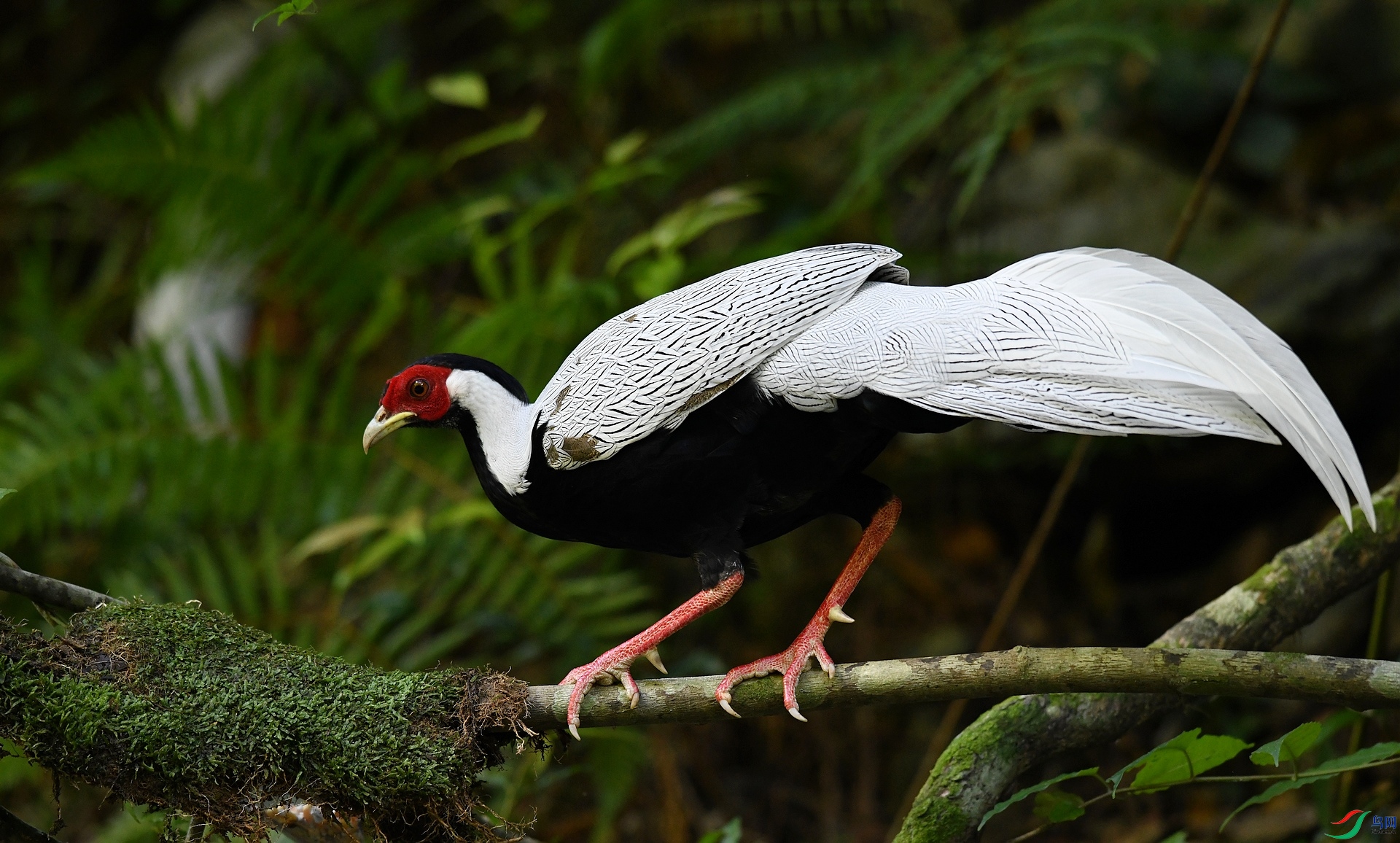 DSC_4744.jpg