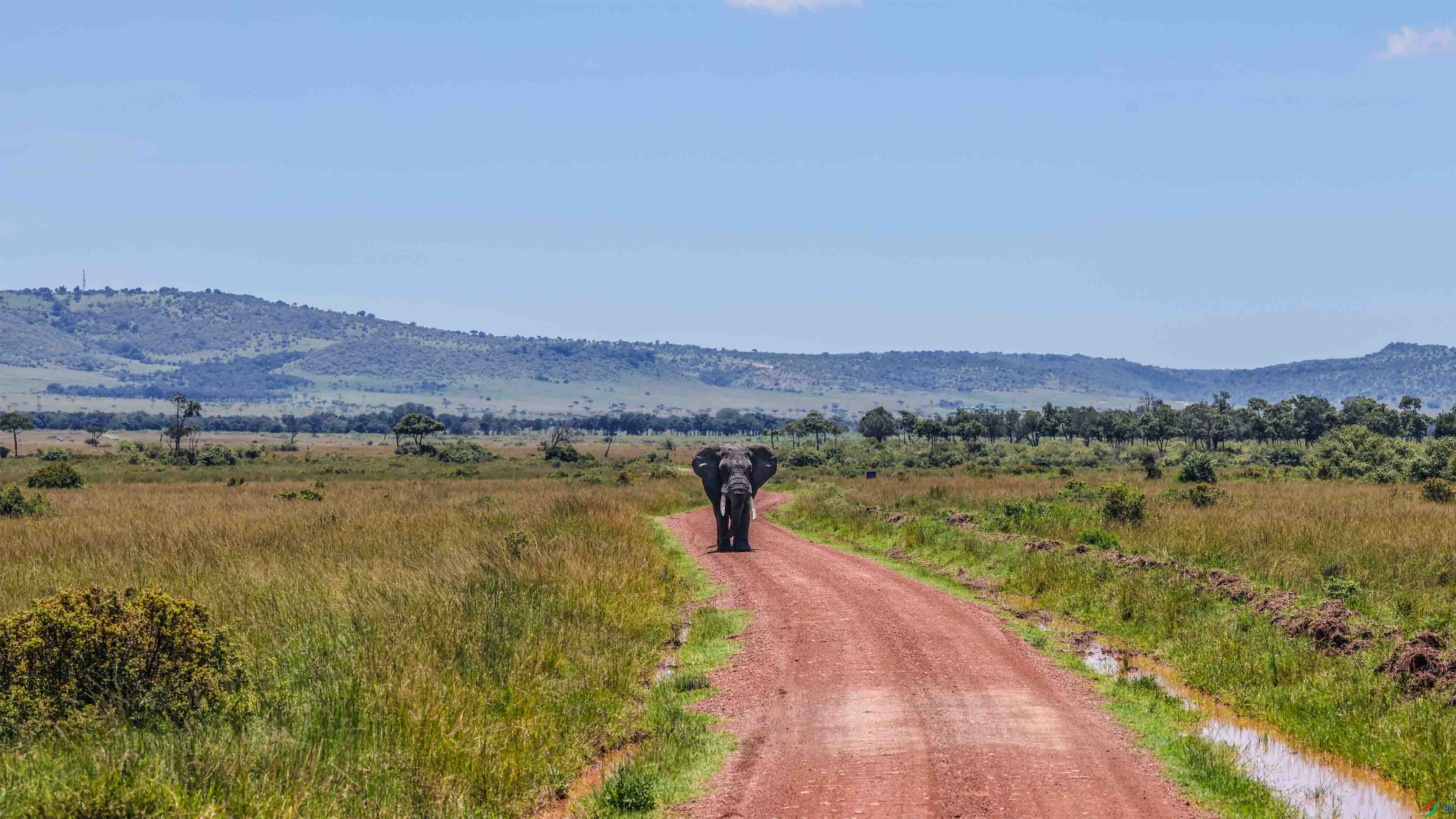 ��Ұ�Ŀ����� ���� ����.jpg