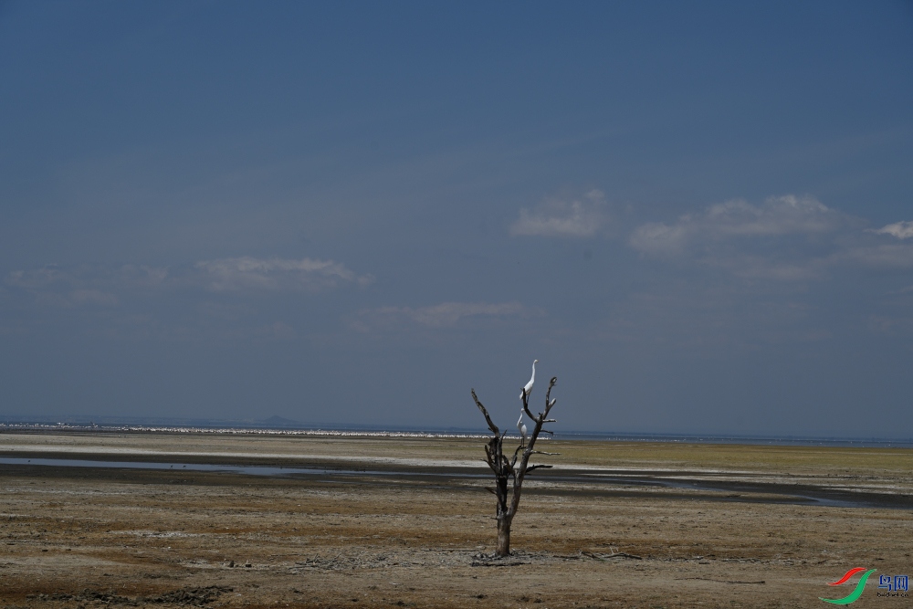 DSC_8682.JPG