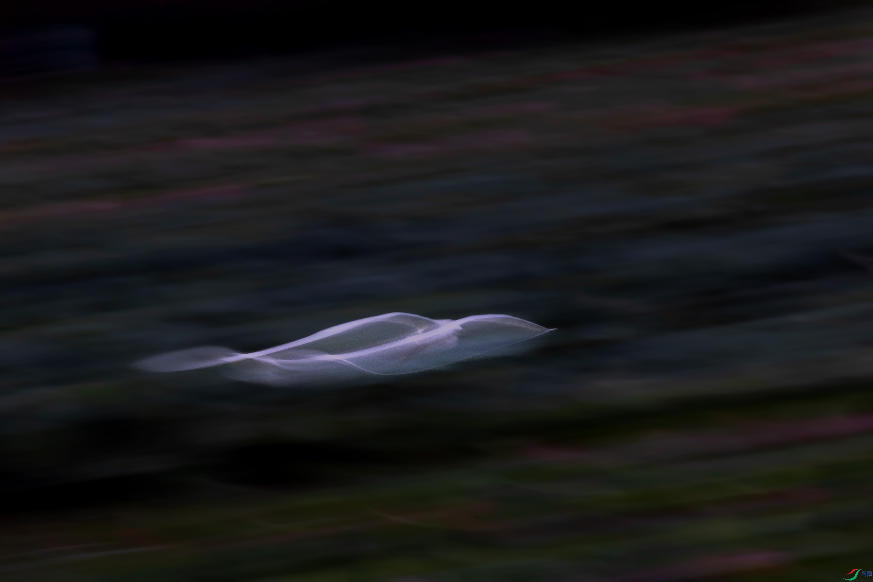 278A9867.jpg