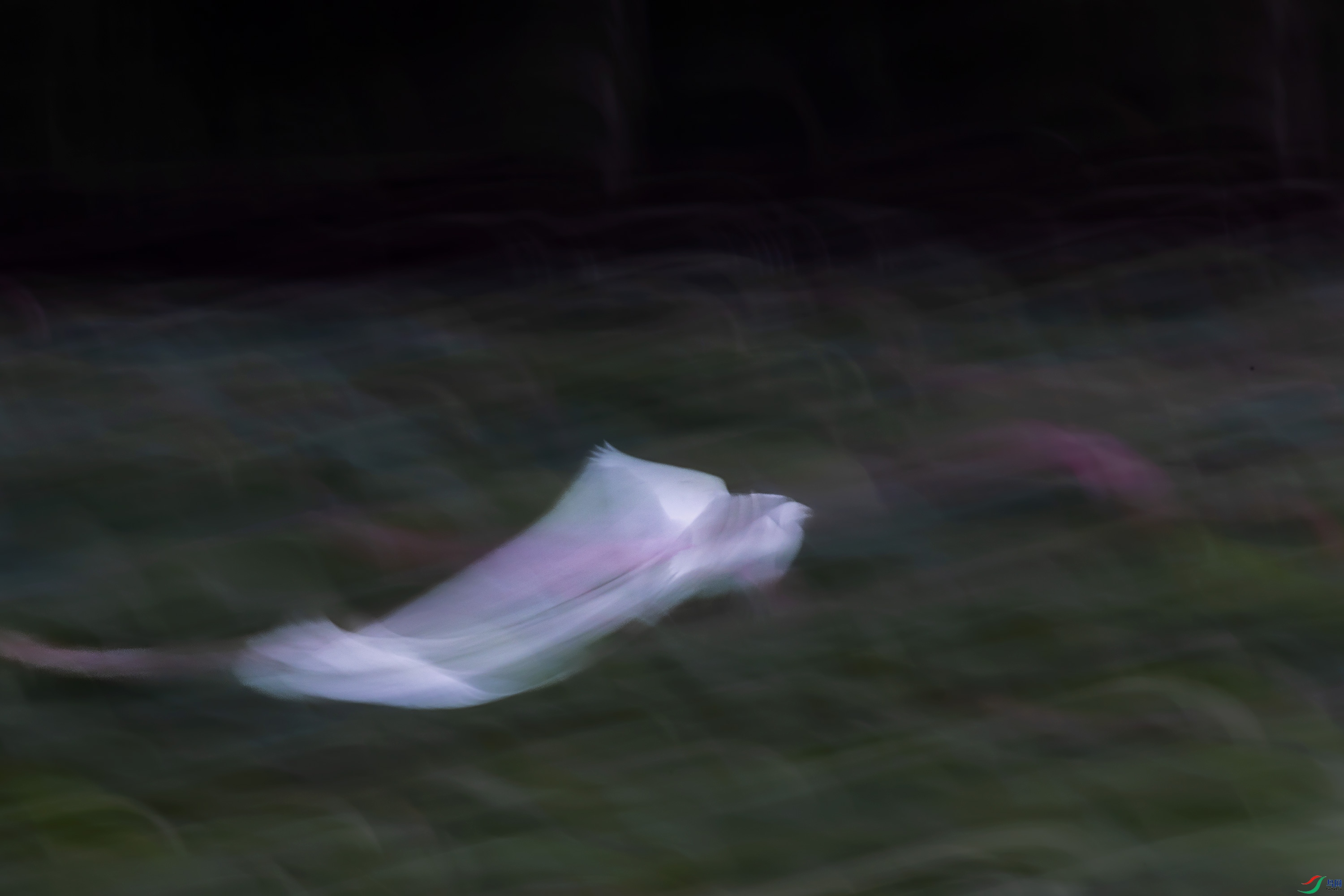 278A9912.jpg