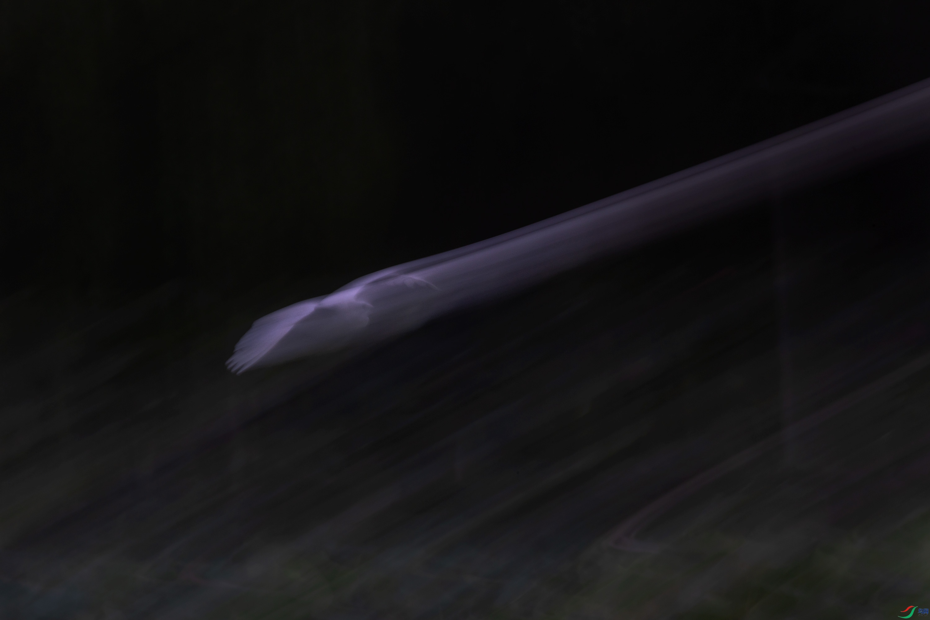 278A9925.jpg