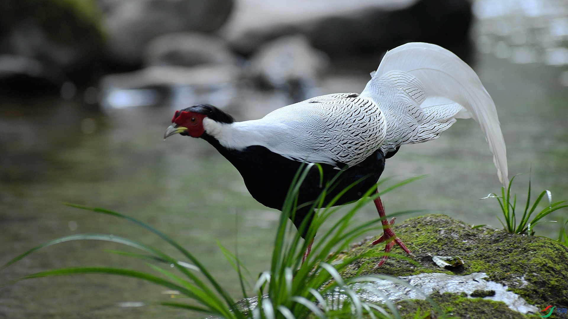 DSC_5933.jpg