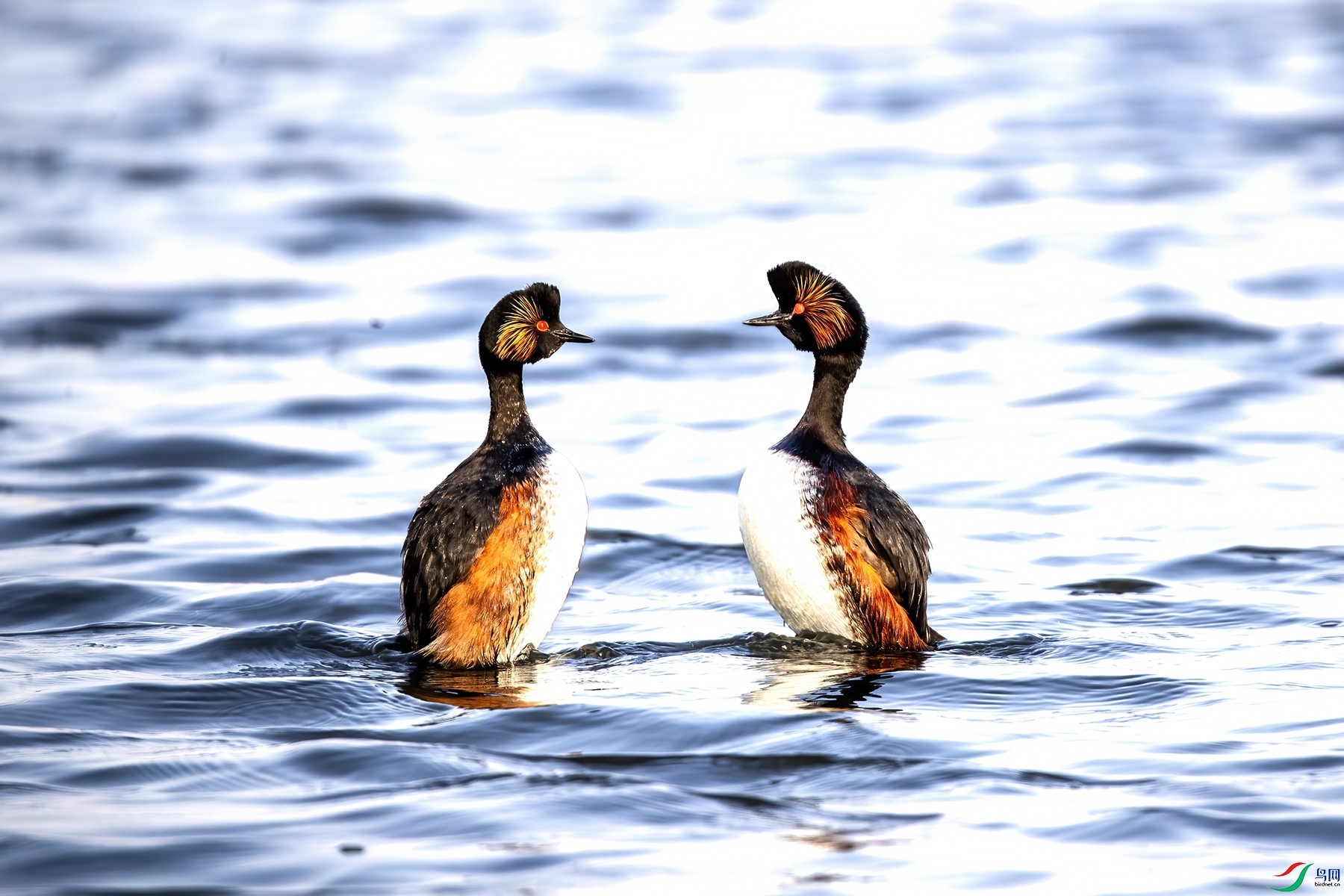 AW4I6001 ����_����.jpg