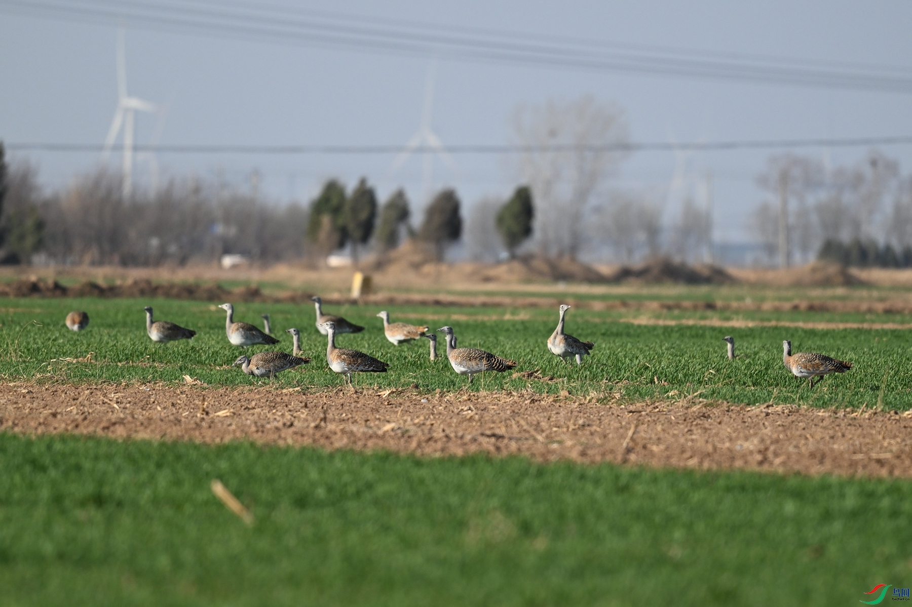 DSC_9976.JPG