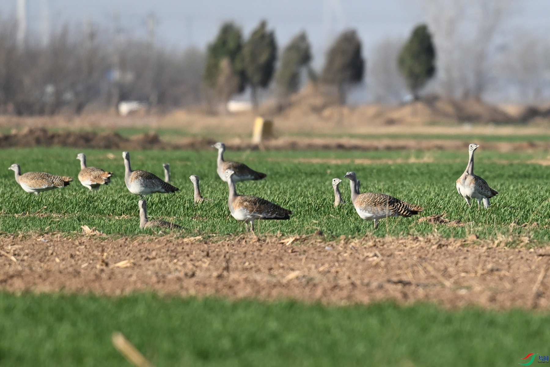 DSC_9984.JPG