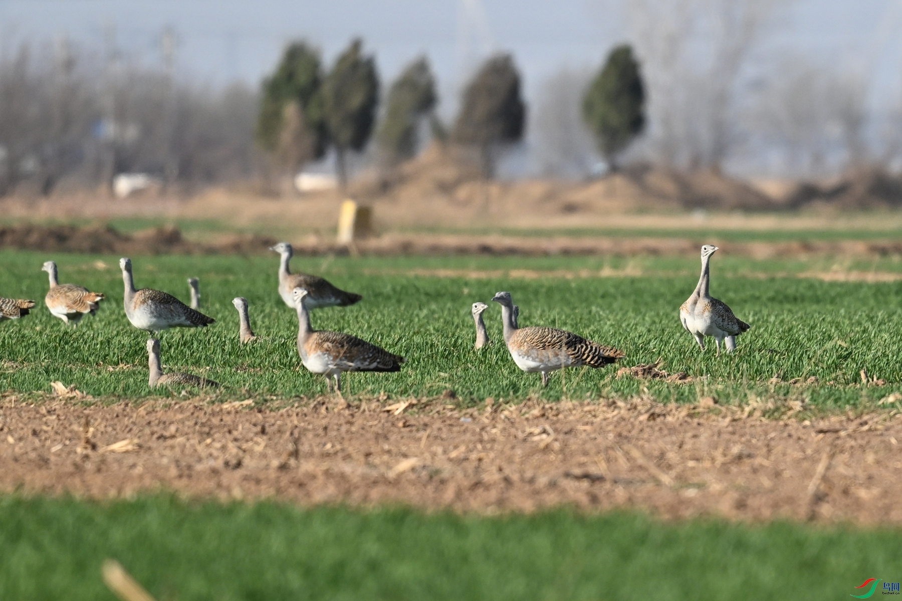 DSC_9985.JPG