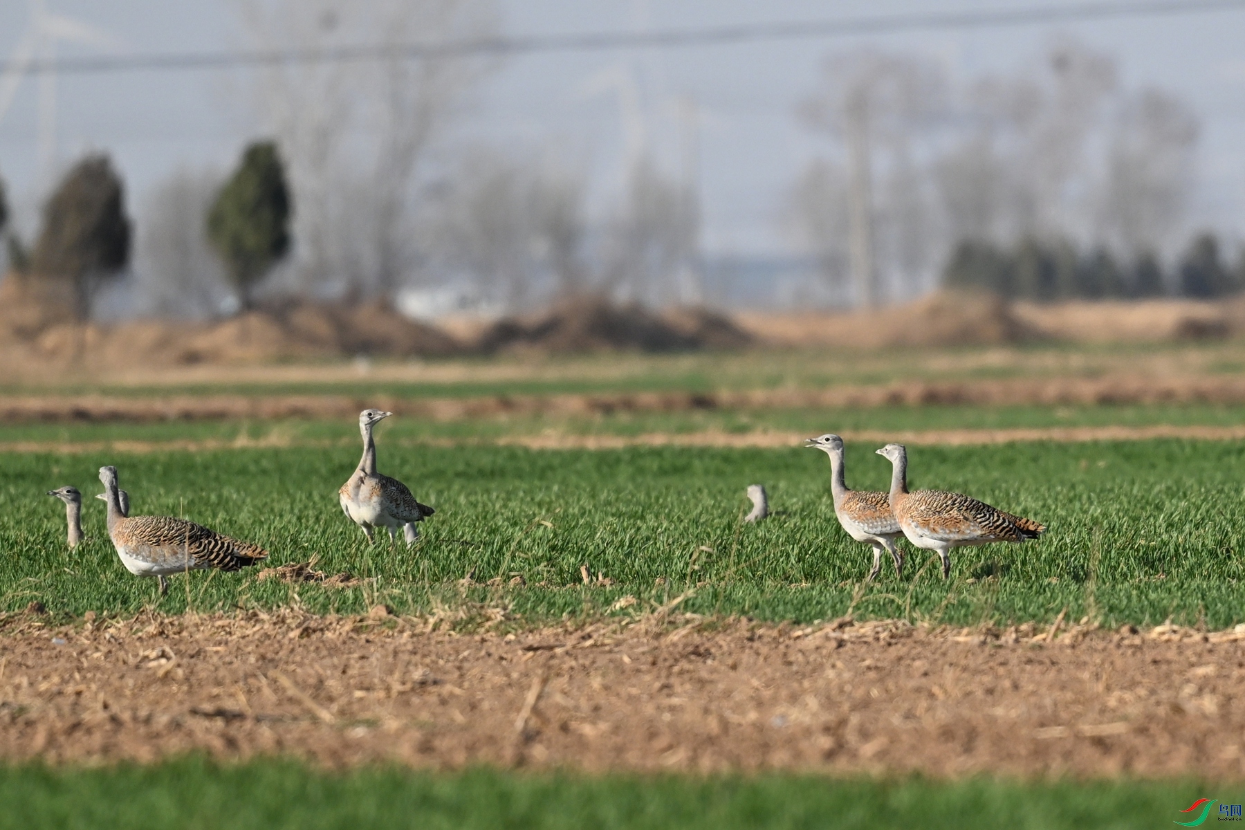 DSC_9997.JPG