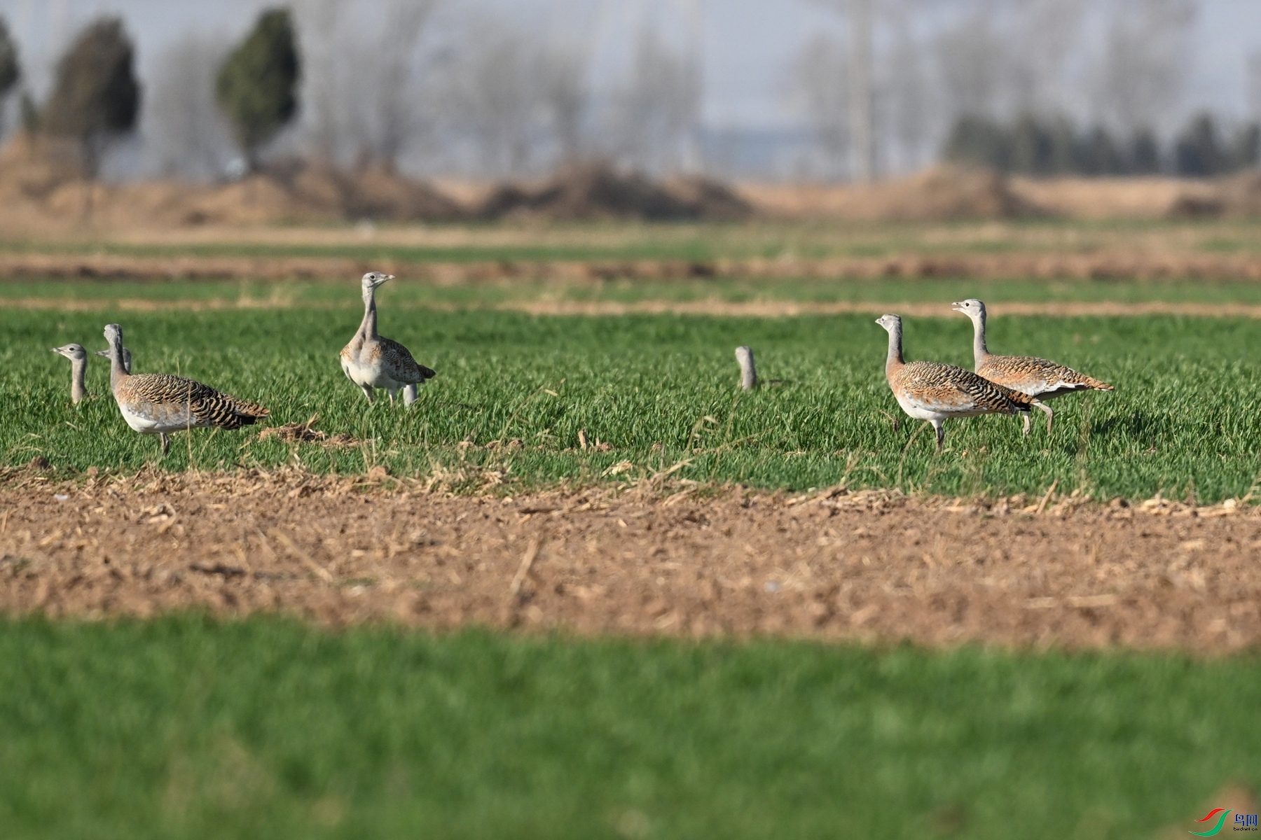 DSC_9993.JPG