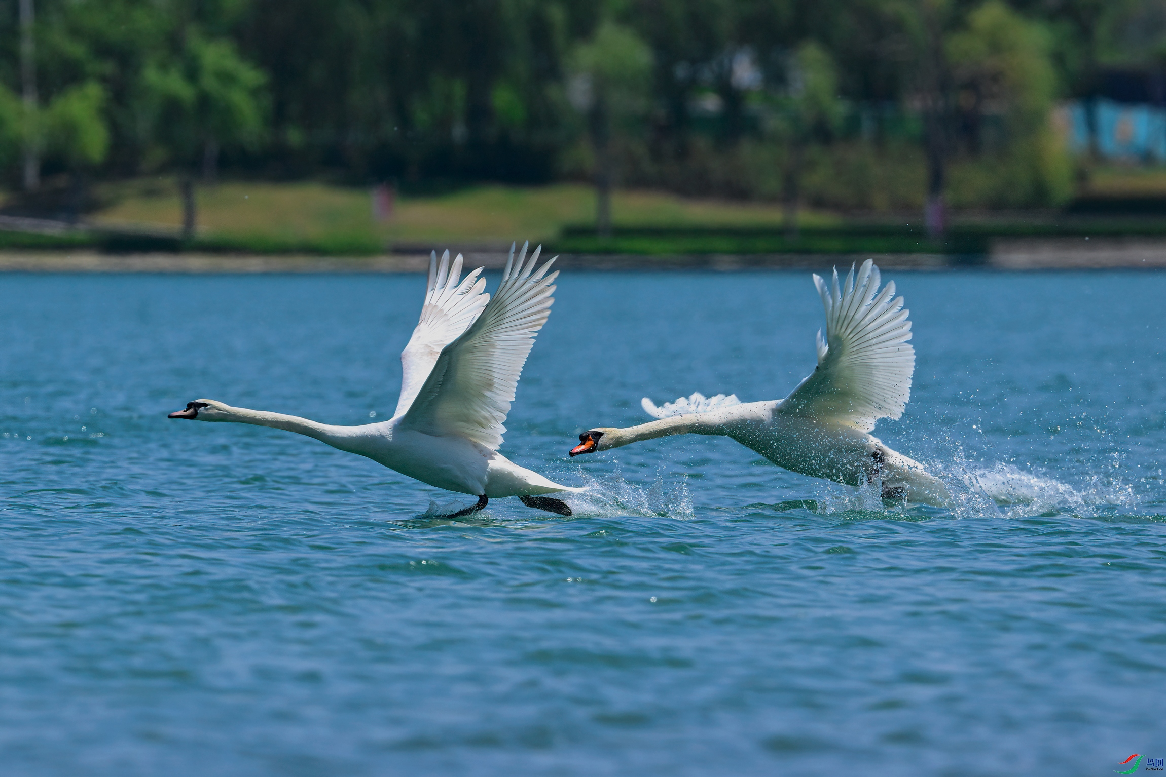 _DSC6487x.jpg