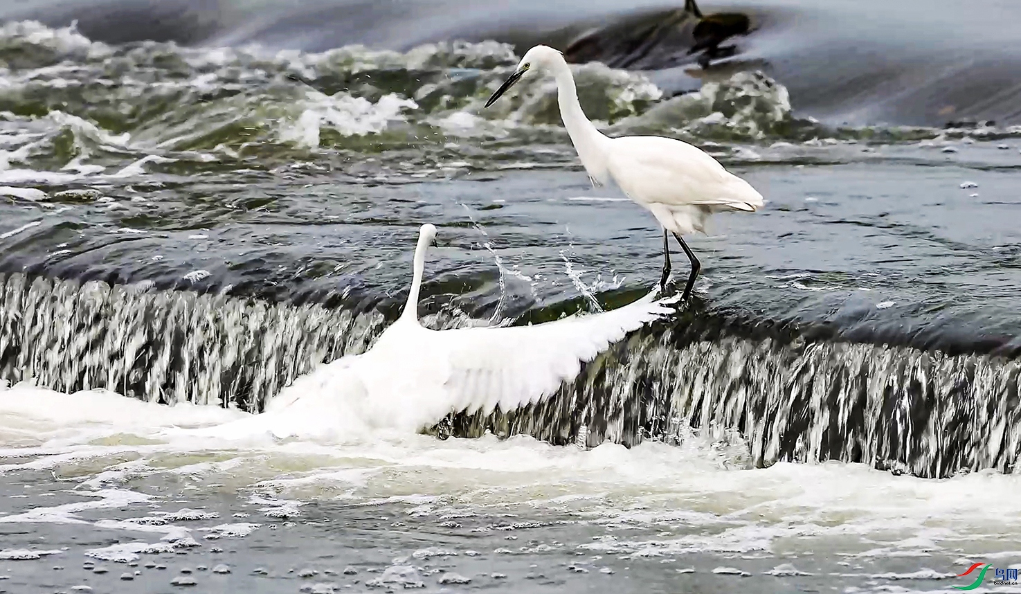 9��3�� (6)a.jpg