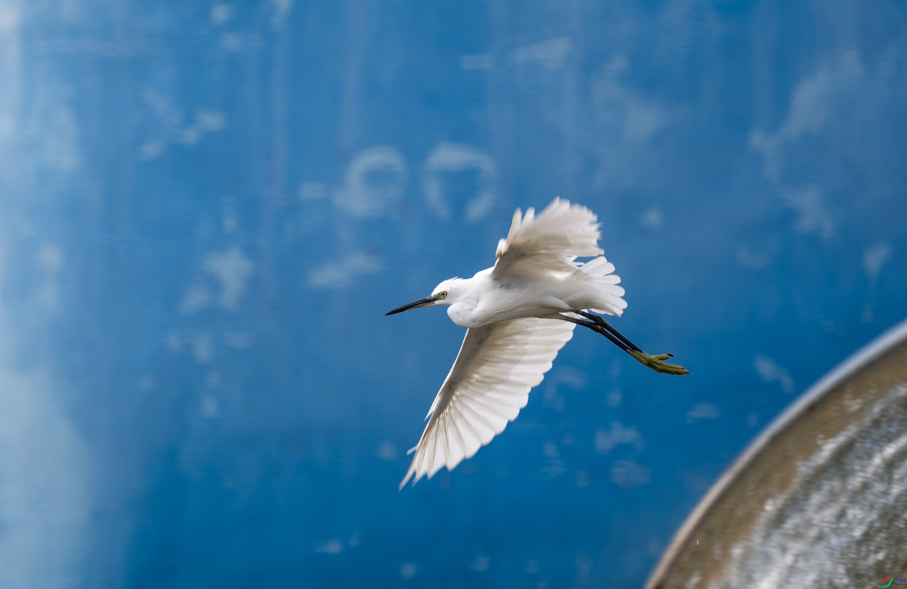 DSC_1881.jpg