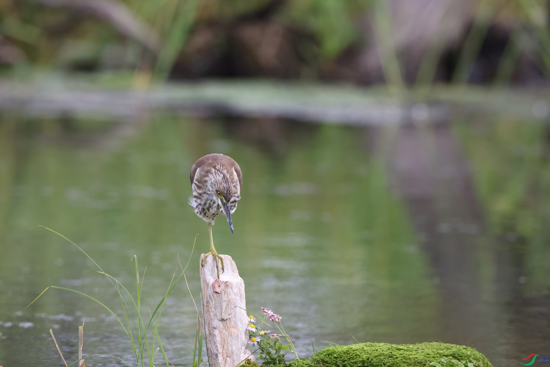 2F5A3048.JPG