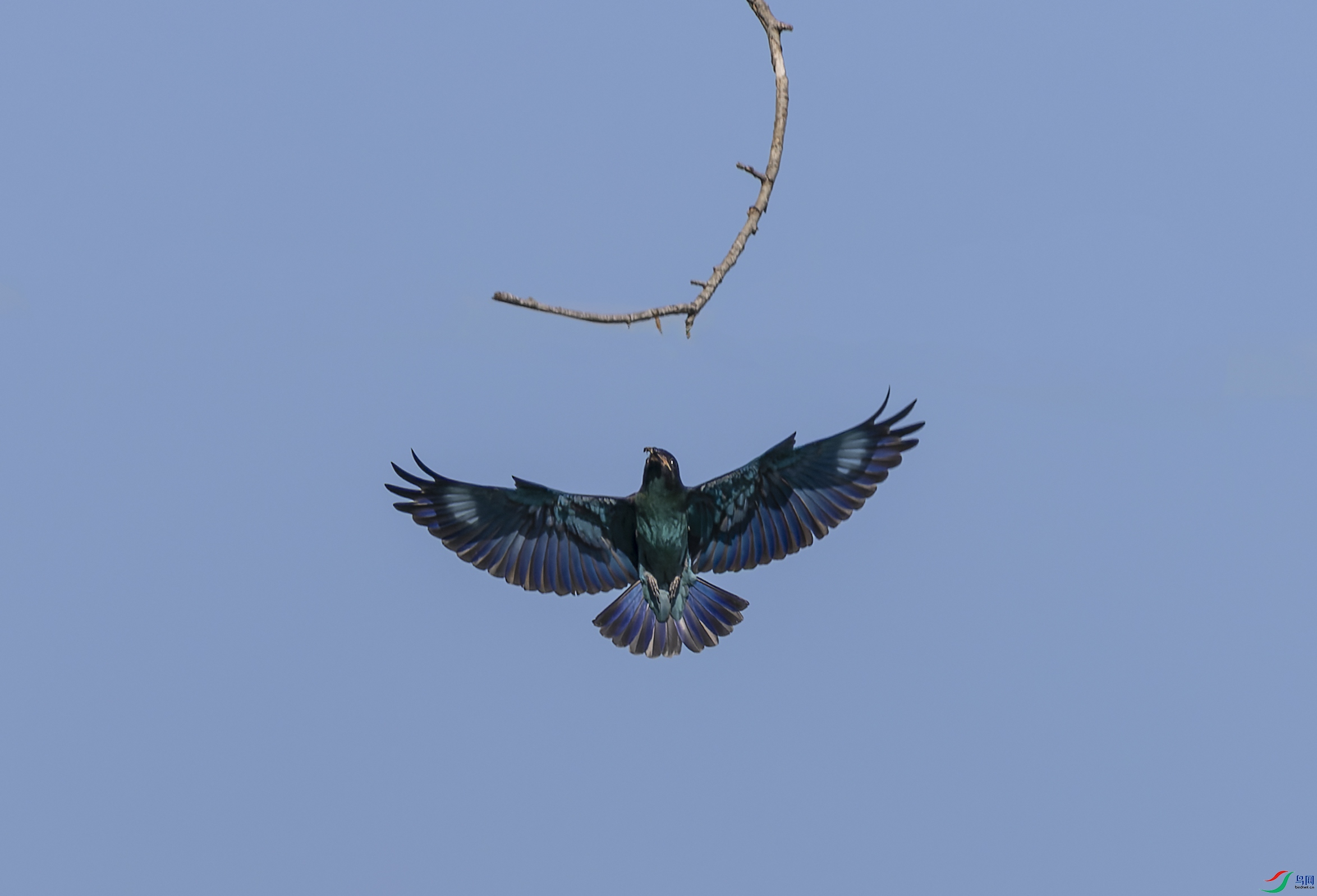 018A4625.jpg