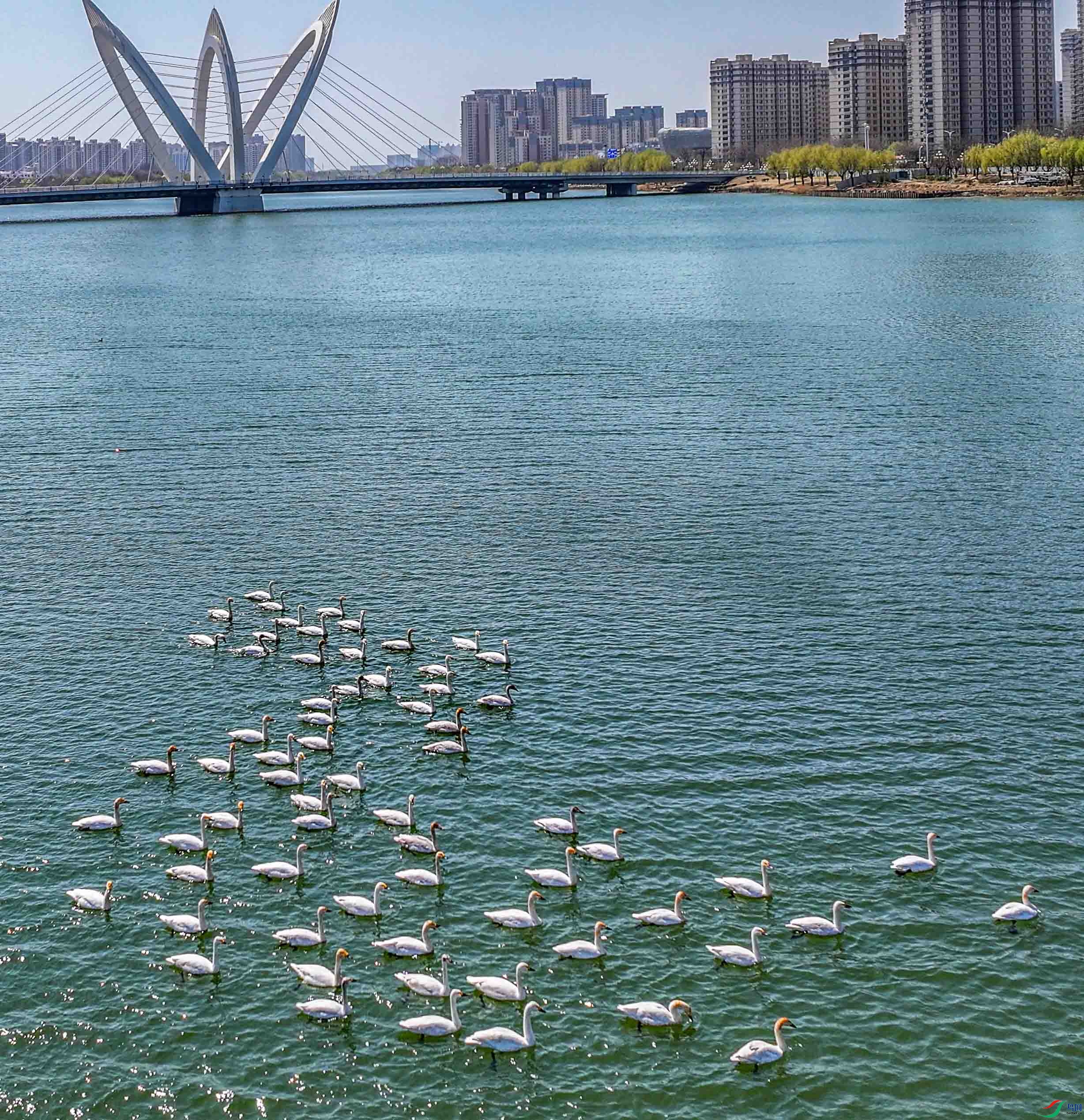 DJI_20250317102728_0097_D ����.jpg