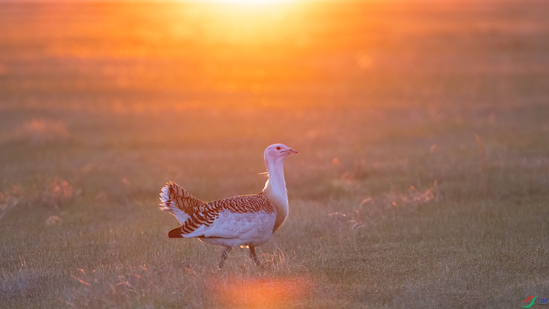 DSC_3915sen2025-5-3-14-�༭.jpg