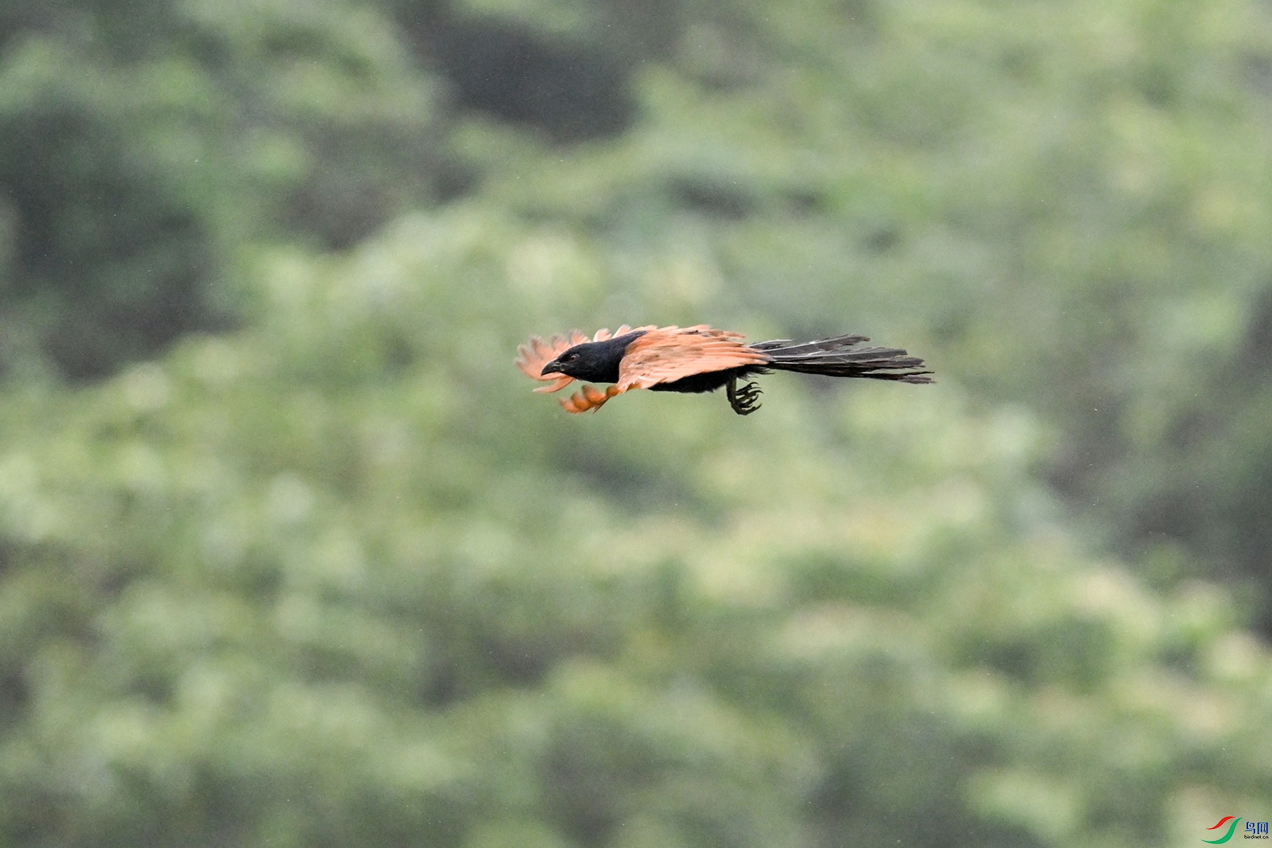 DSC_8451.JPG