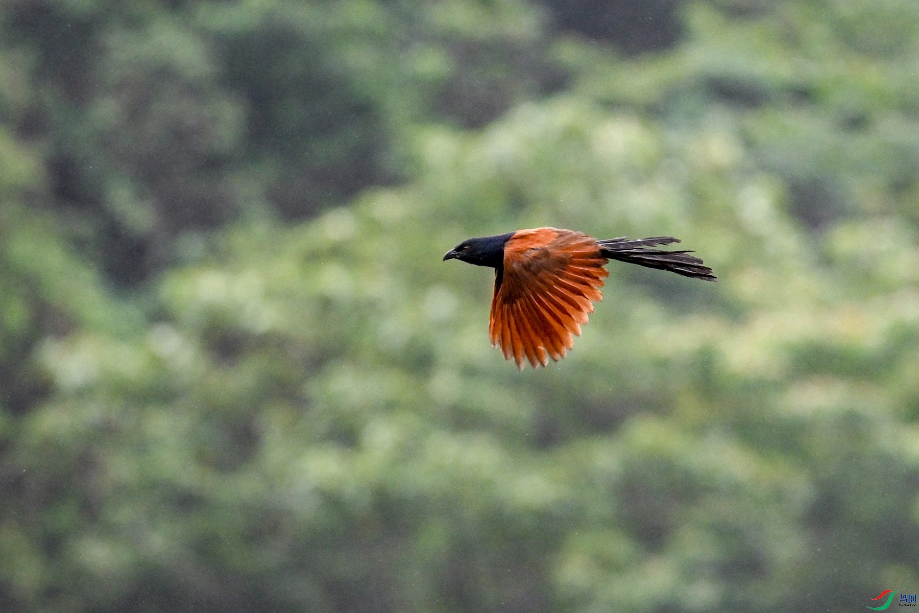 DSC_8452.JPG