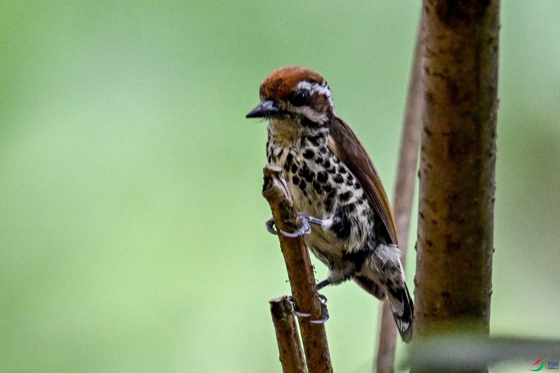 DSC_8541.JPG