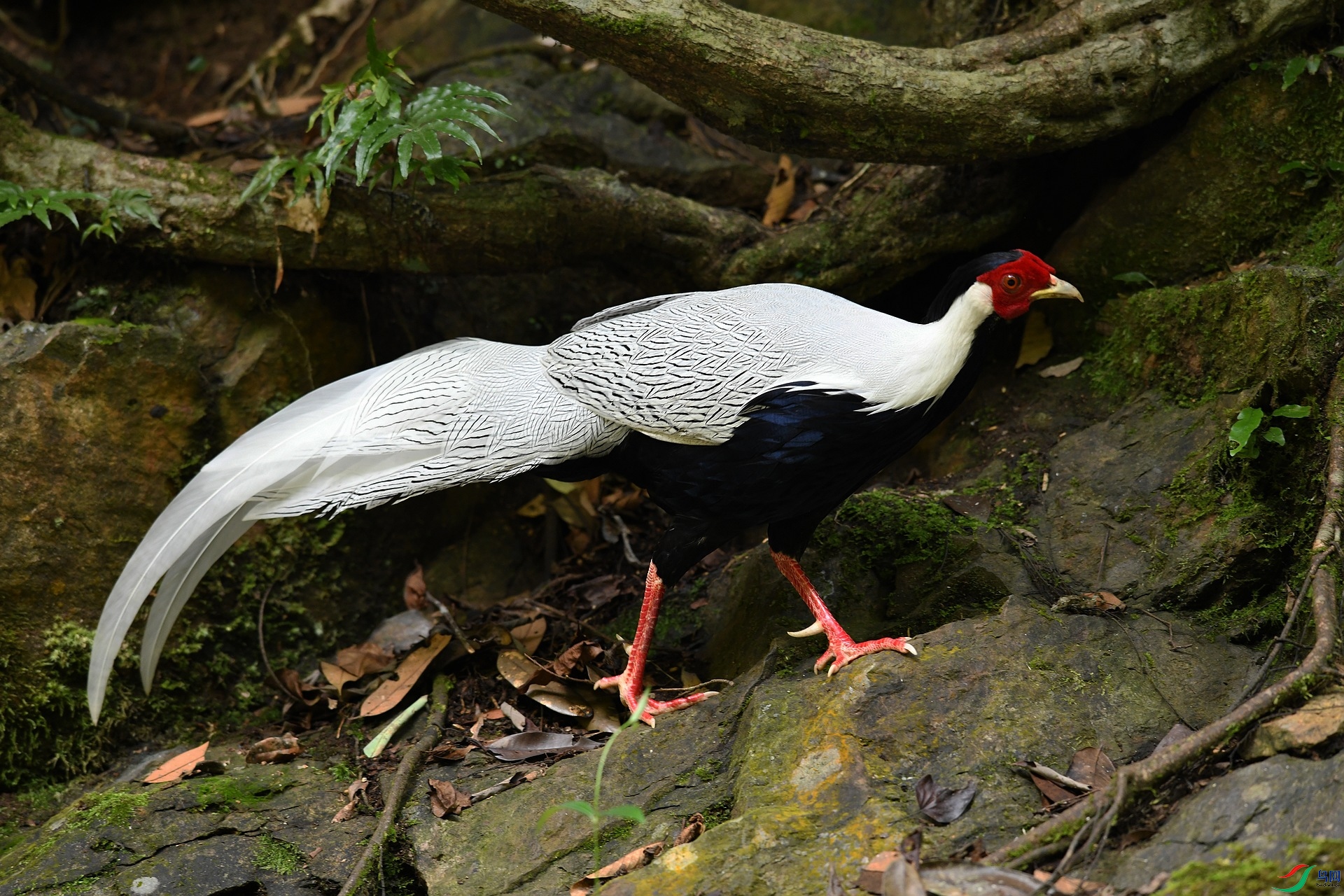 DSC_2872.jpg