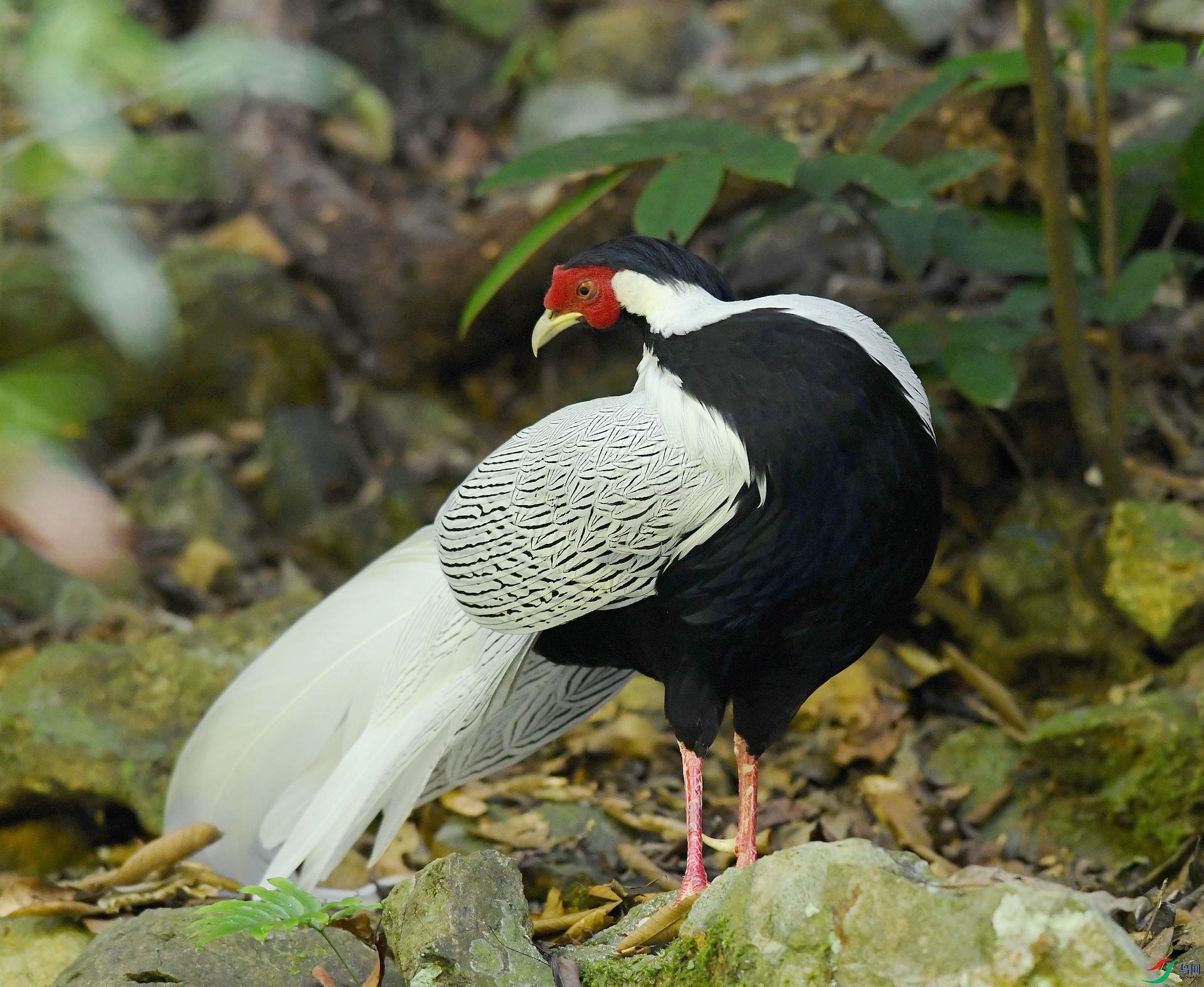 DSC_3648.jpg
