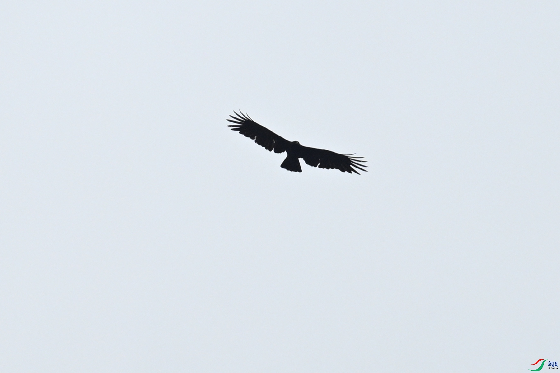DSC_8532.JPG