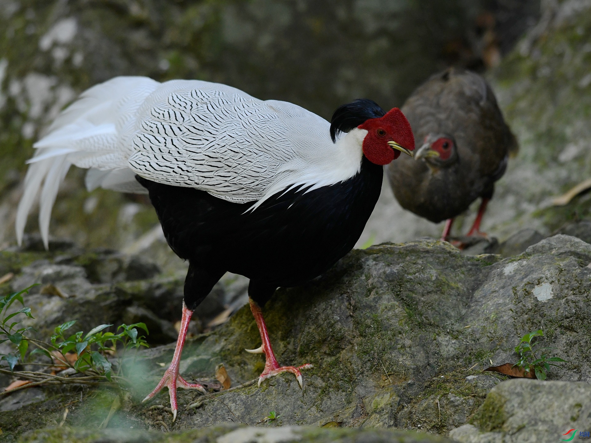 DSC_4935.jpg