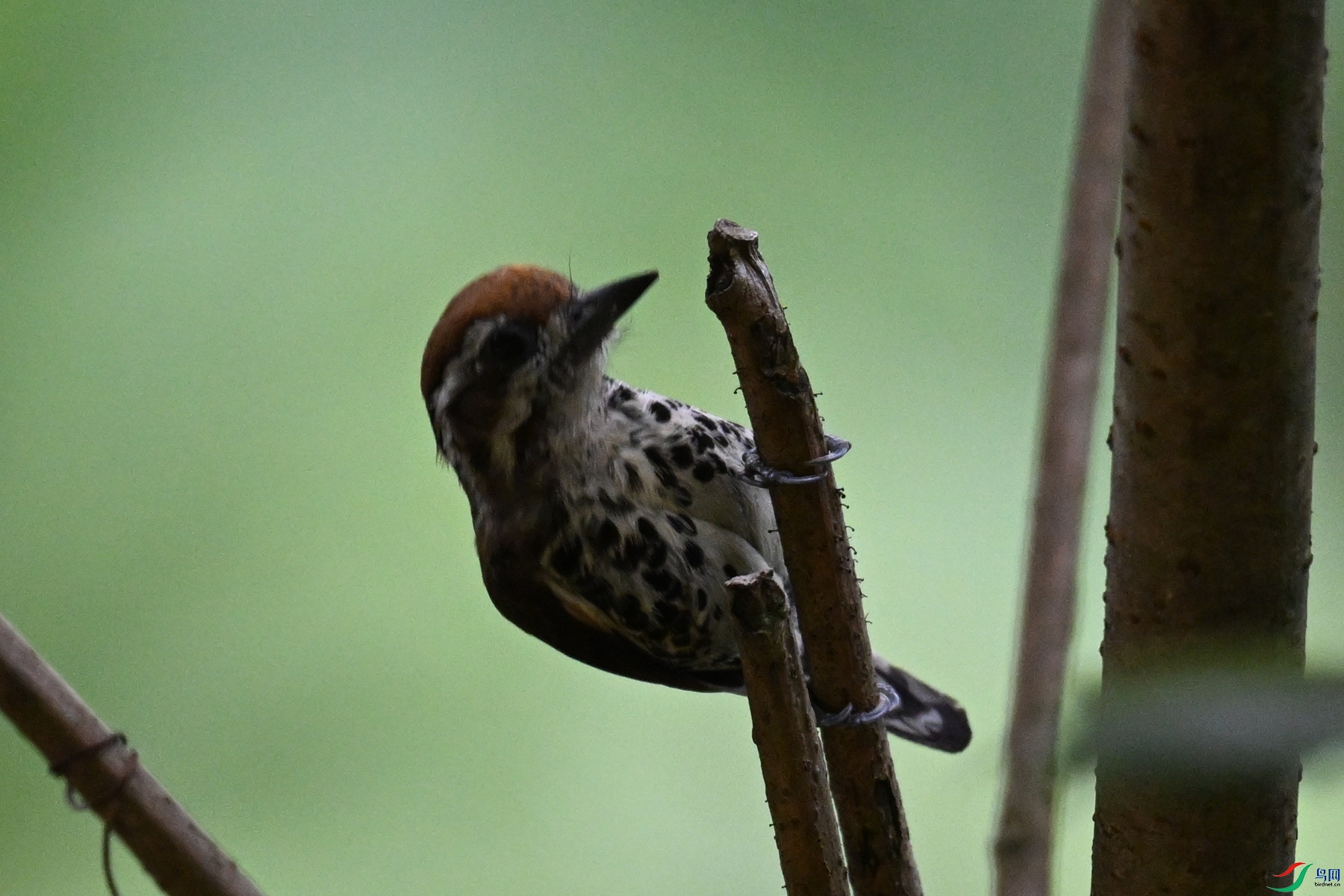 DSC_8551.JPG