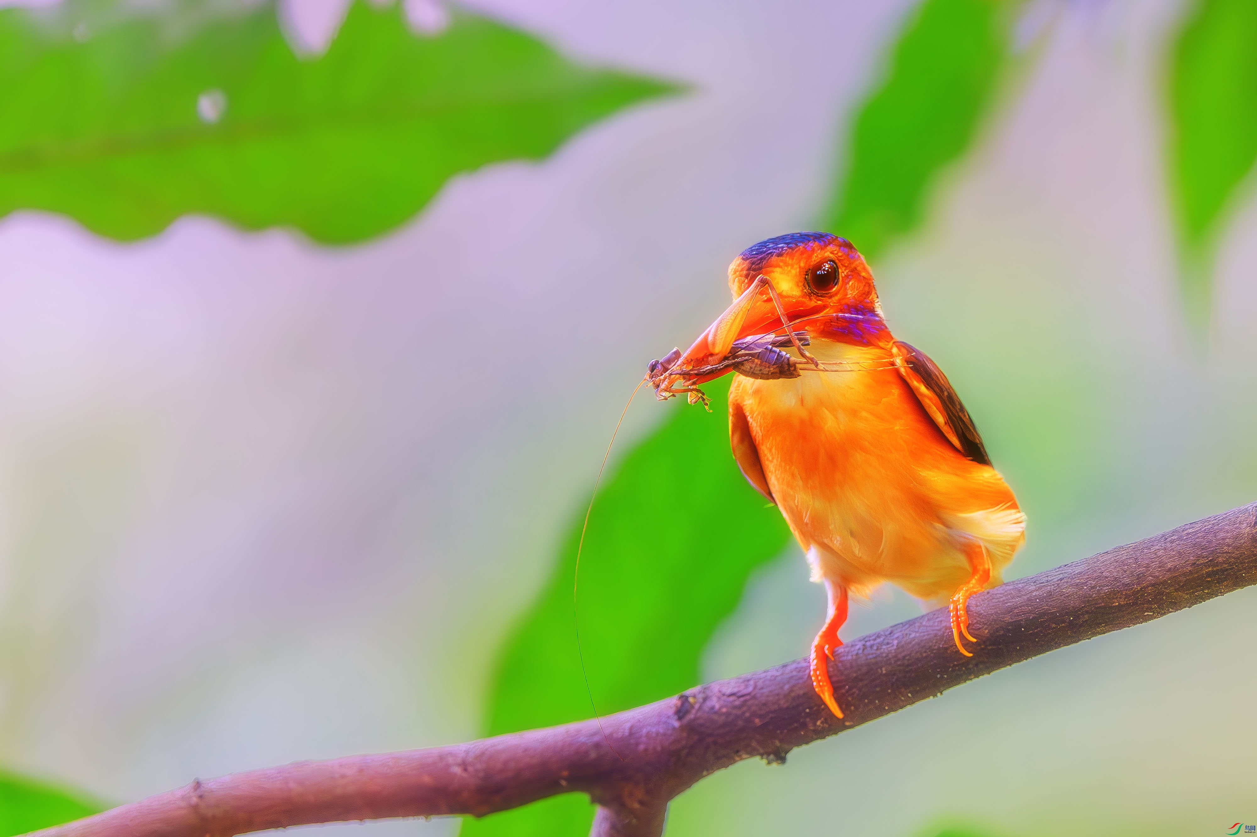 _DSC7578-����ǿ-NR1 ����1.jpg