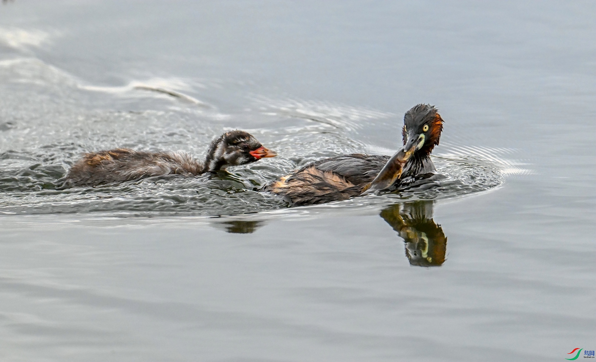 DSC_0670_����.jpg