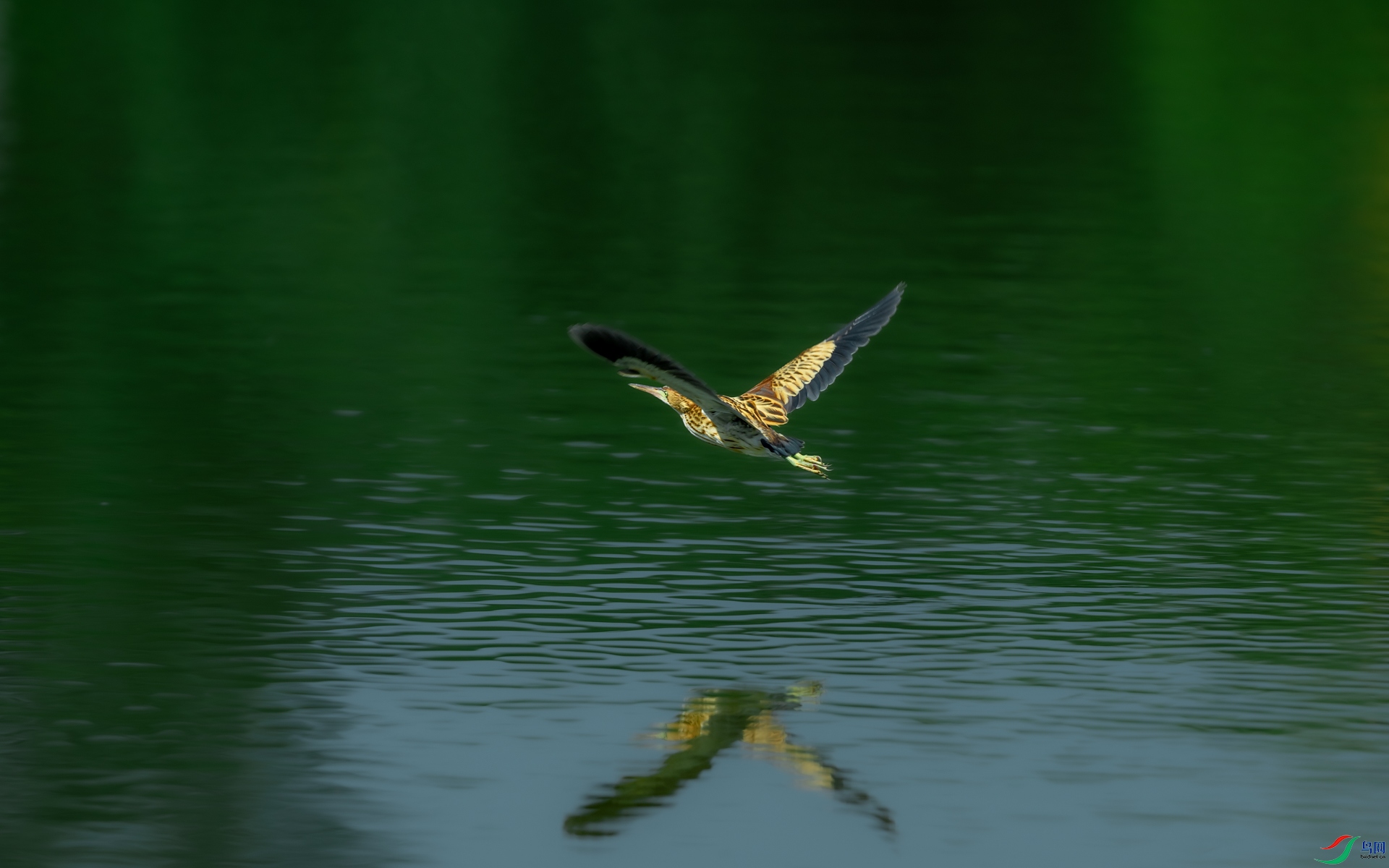DSC_6696.jpg