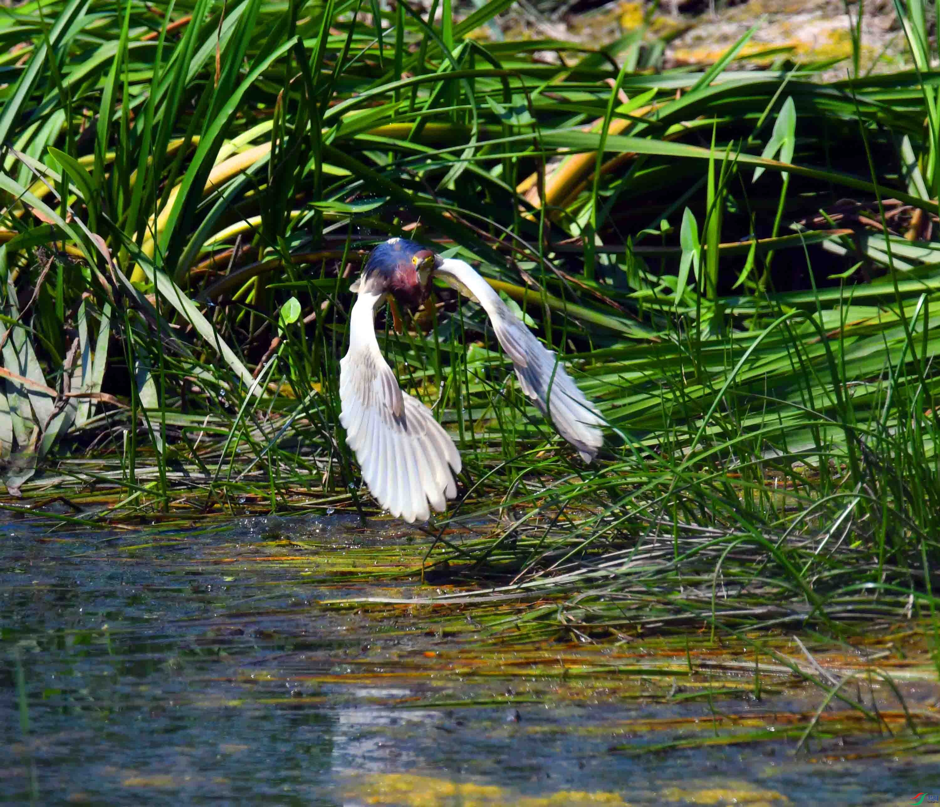 DSC_3714.JPG