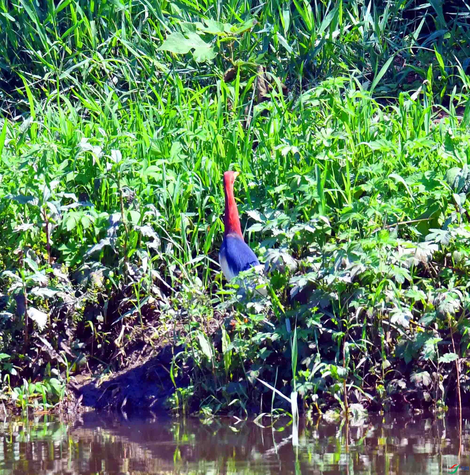 DSC_4016.JPG