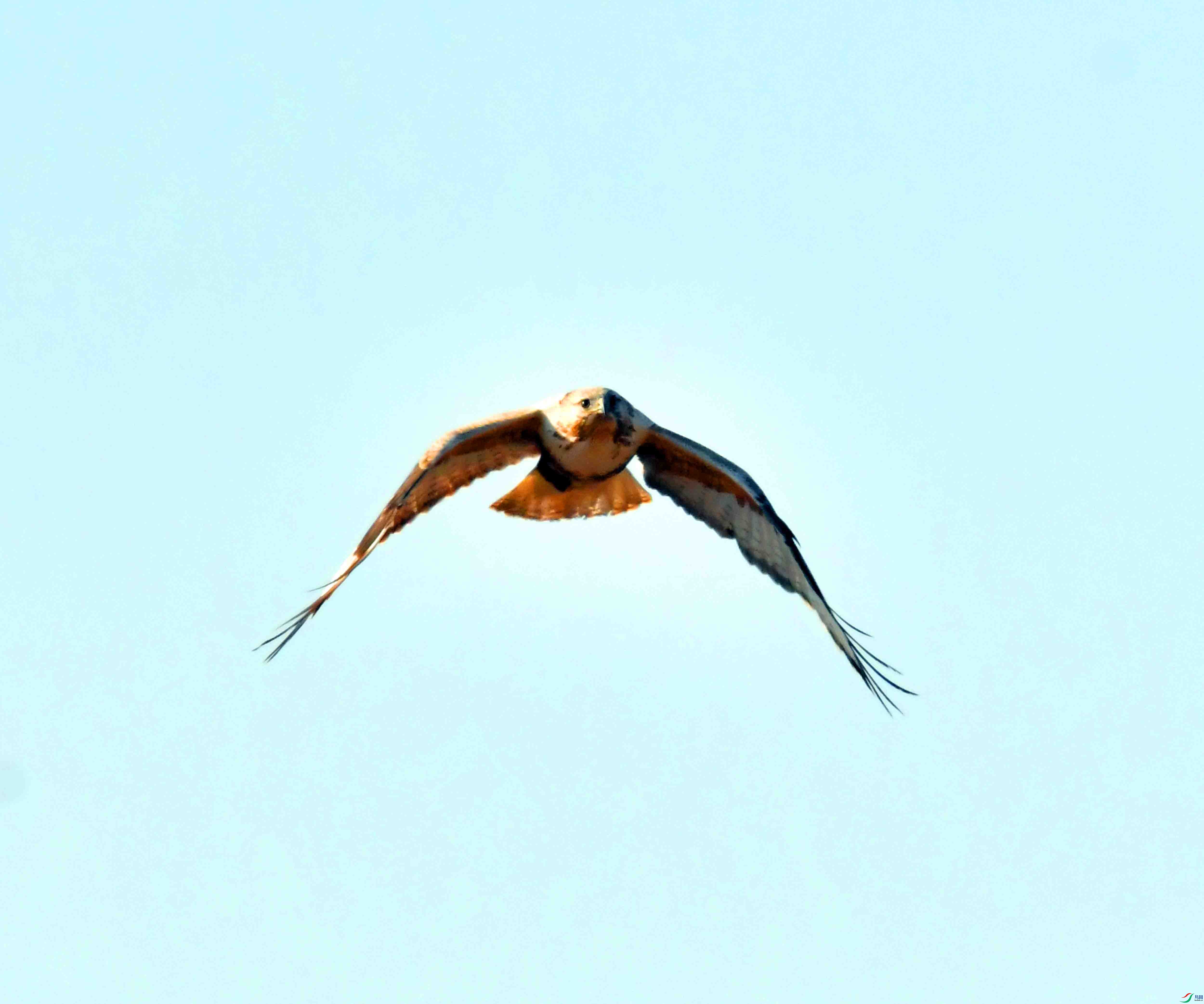 DSC_1422.JPG